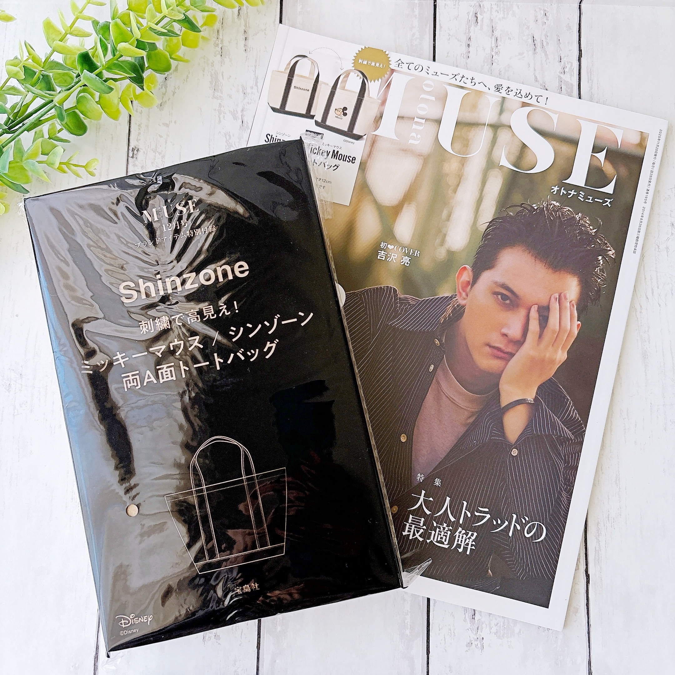 雑誌付録でみつけた「ディズニーのトートバッグ」が可愛すぎる