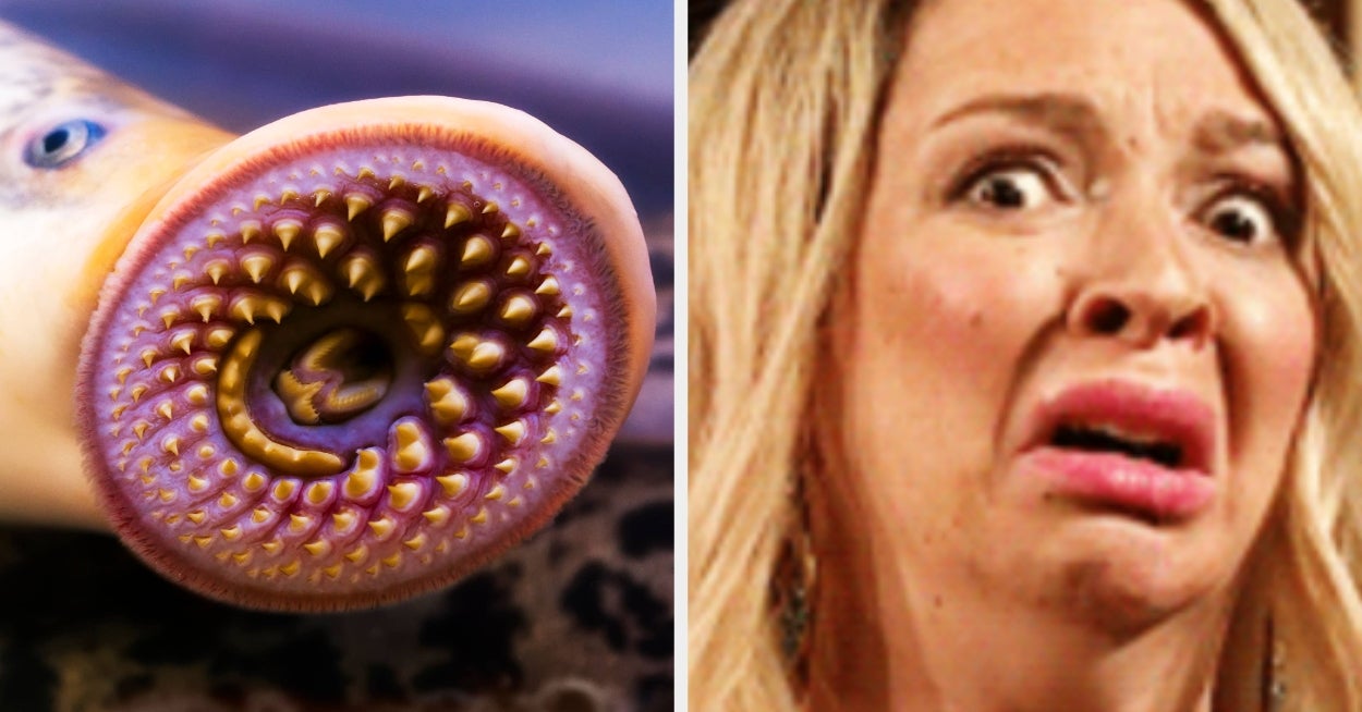 16 Terrifying Creatures That Actually Exist On Earth And Will Haunt My Nightmares For The Next Six Years