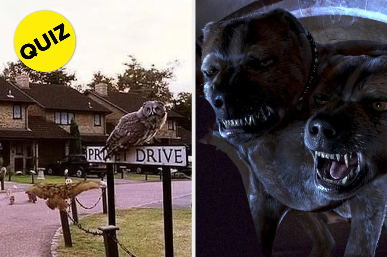 If You Get Over Nine On This "Harry Potter" Quiz You Can Count It As An O.W.L