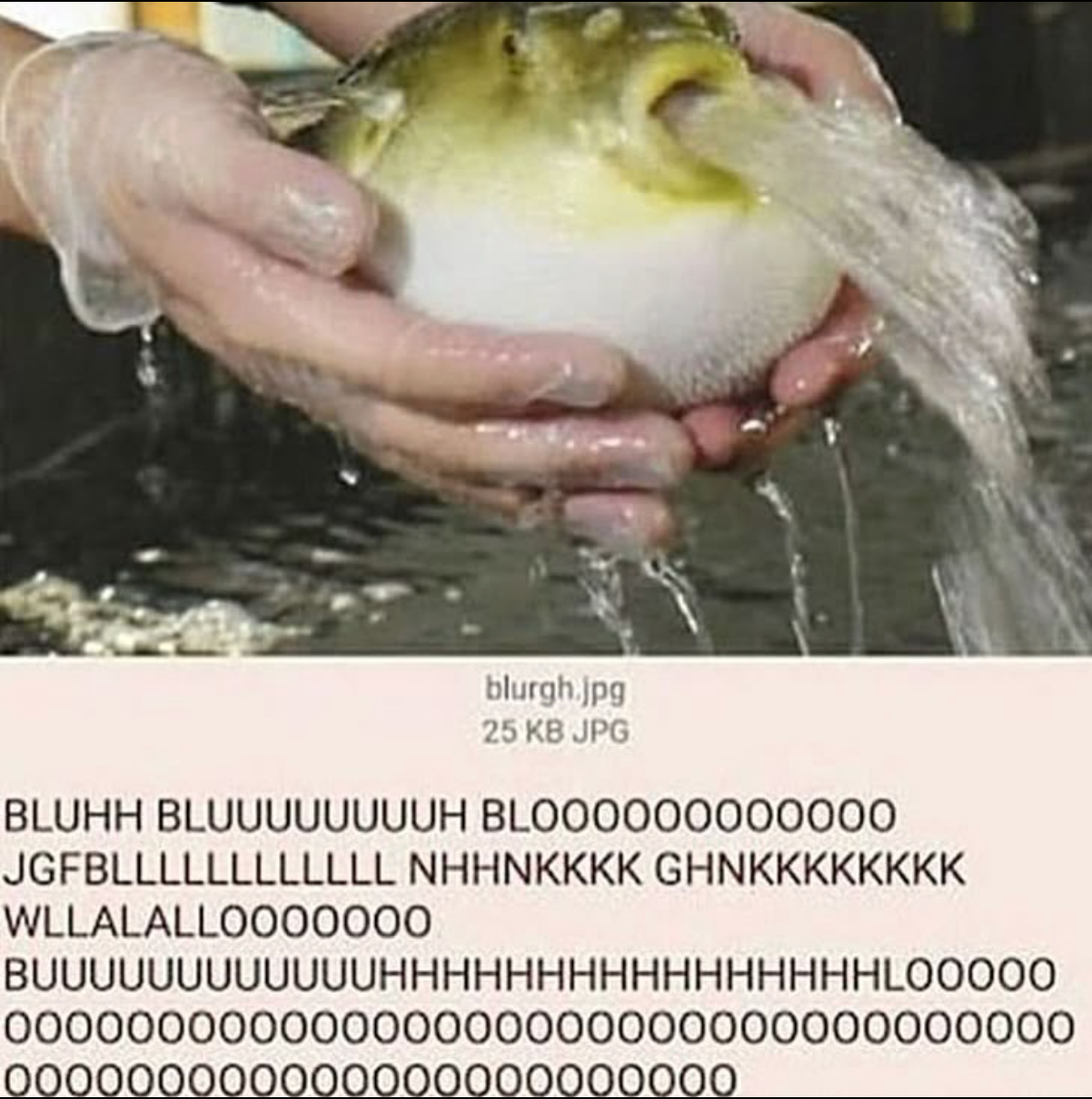 Person holding a pufferfish emitting a stream of water; humorous, exaggerated text below mimics the sound