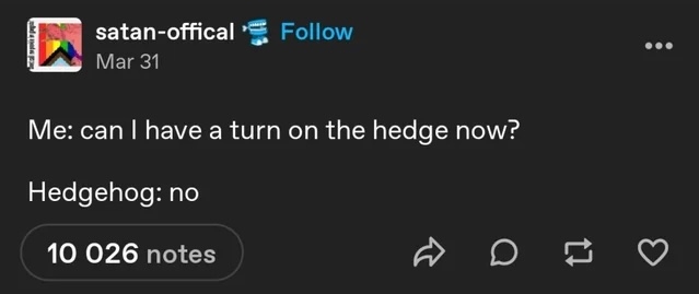 A humorous Tumblr post where someone asks a hedgehog for a turn on the hedge, and the hedgehog responds with &quot;no.&quot;