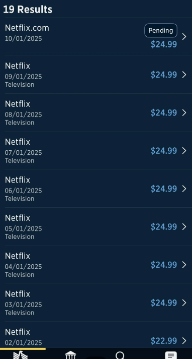 Screenshot shows multiple recurring charges labeled "Netflix" with $24.99 listed for various 2025 dates, except for one charge at $22.99