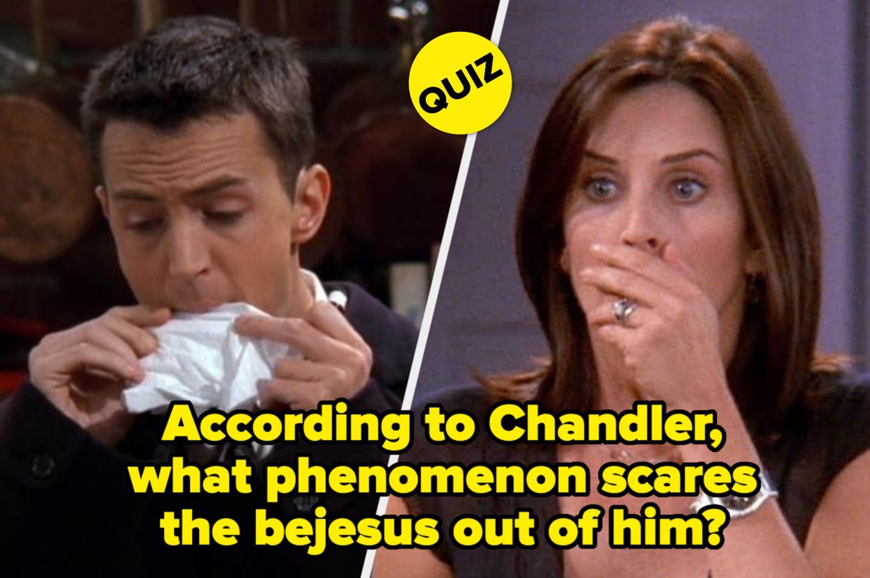 I've Given You 12 "Friends" Questions, Anything Above Seven Is *Chef's Kiss*