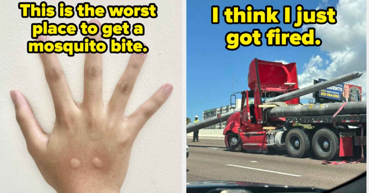 50 People Whose Lives Got Completely And Totally Blown Up By The Consequences Of Their Own Terrible Decisions Last Month 50 People Whose Lives Got Completely And Totally Blown Up By The Consequences Of Their Own Terrible Decisions Last Month