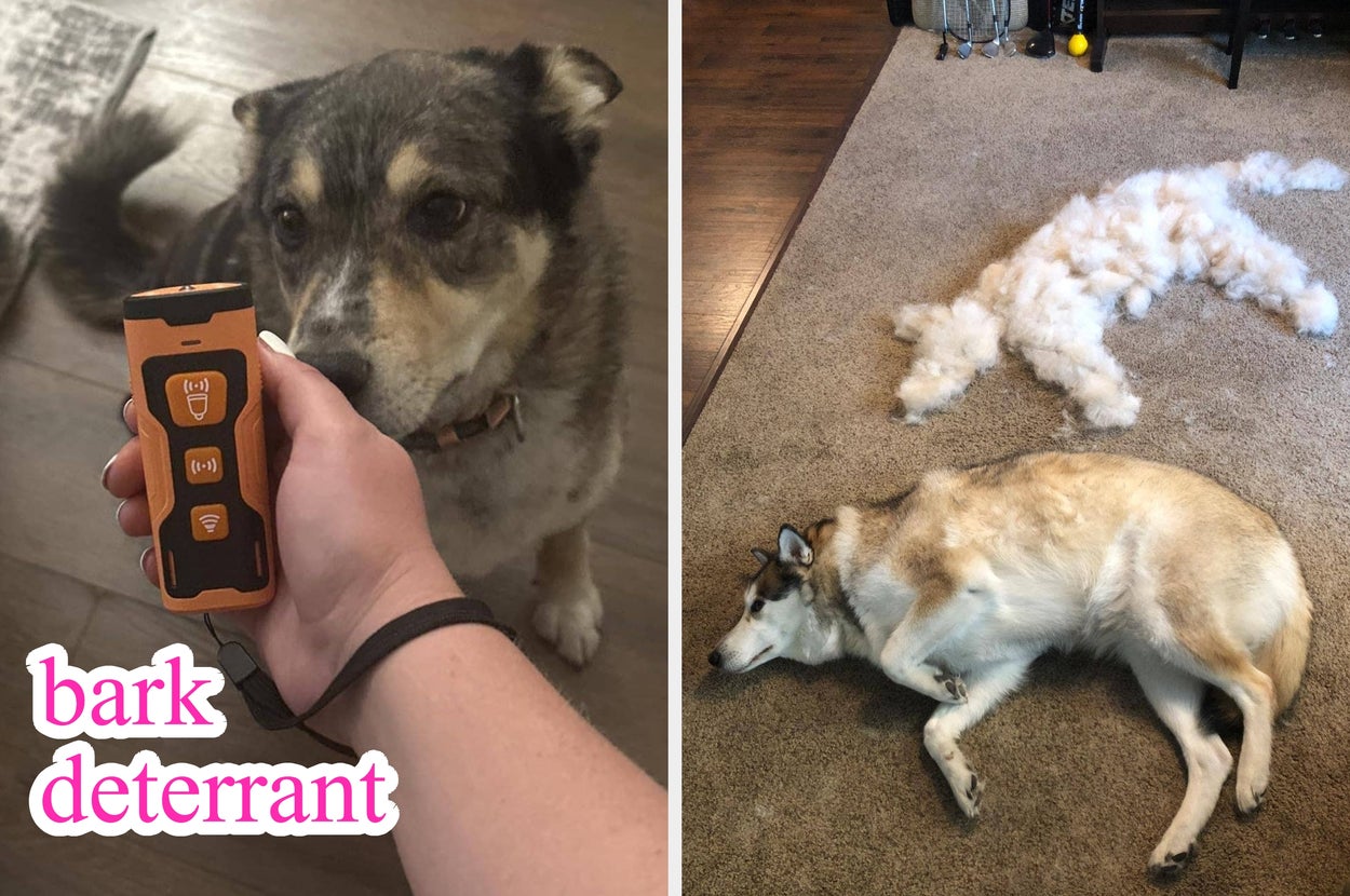 Dog bark deterrent device held by person on left; dog waste bags on a wall hook on right