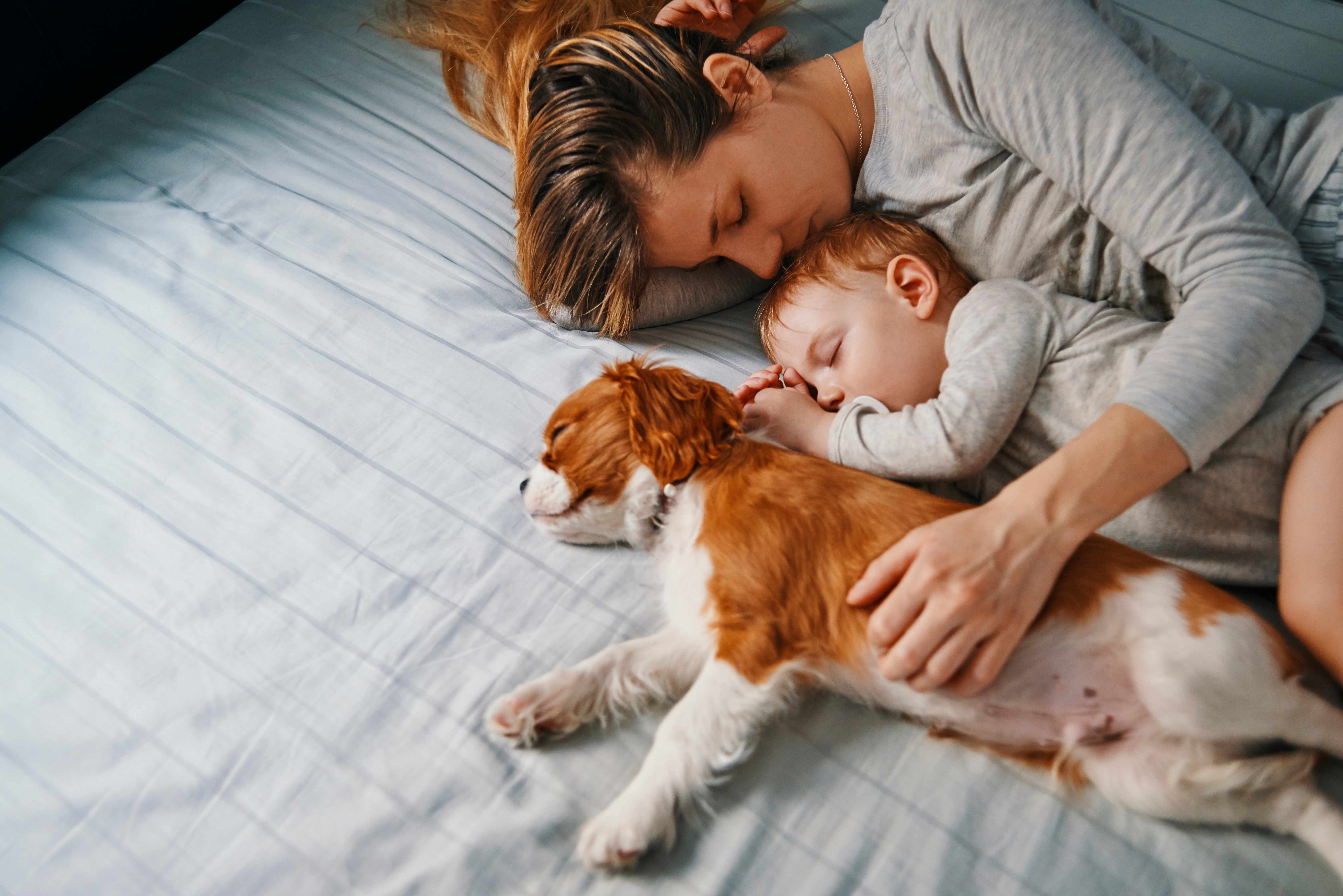 En mor koser med den sovende babyen sin og en liten hund på en seng, alle virker fredelige og avslappede