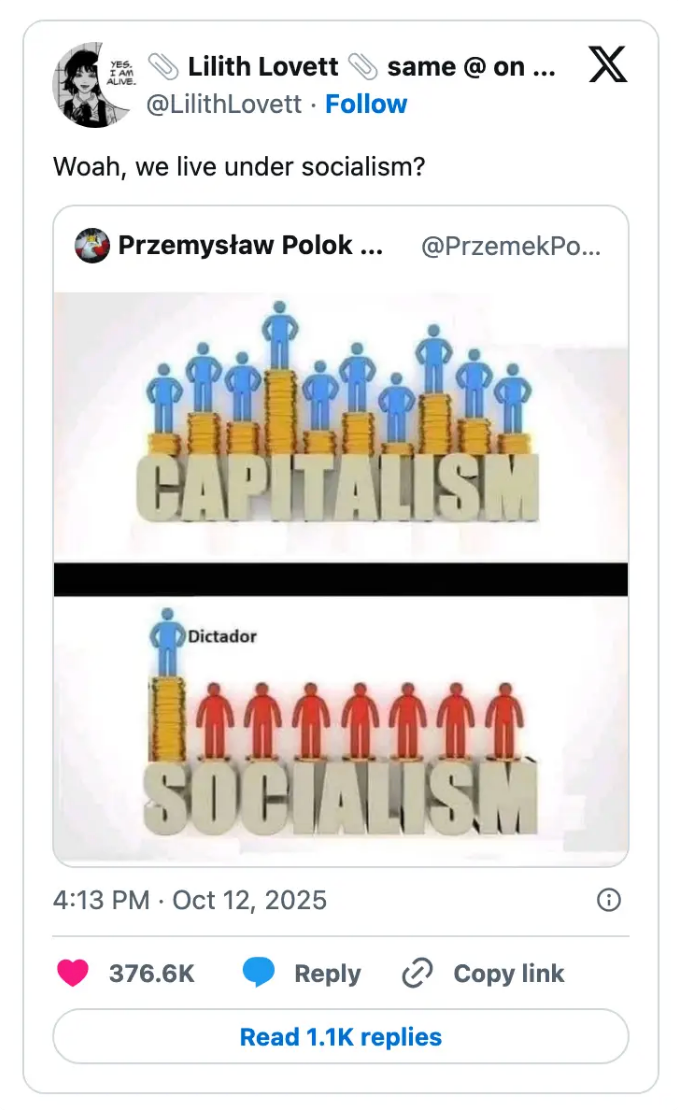 Best Political Tweets 11-03-2025