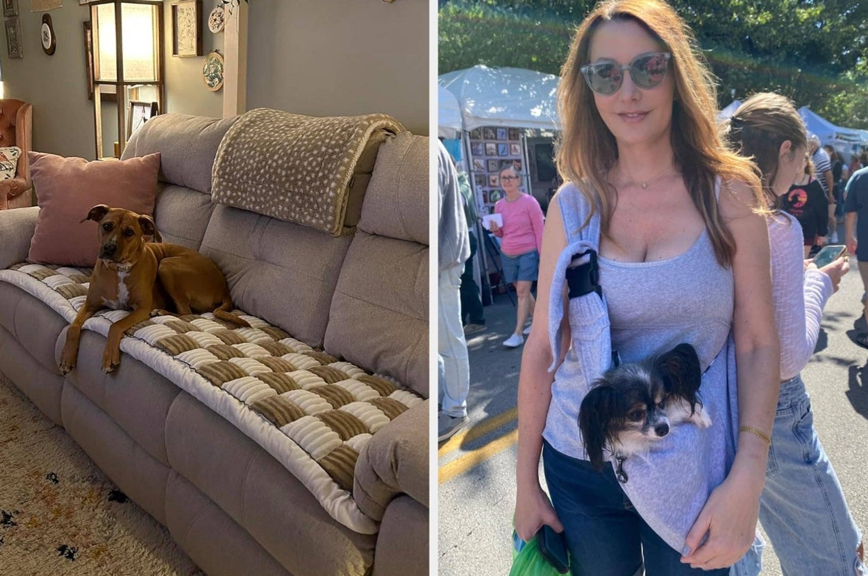 Left: Dog lounging on a sofa with a cushioned cover. Right: person at an outdoor market with a small dog in a sling bag