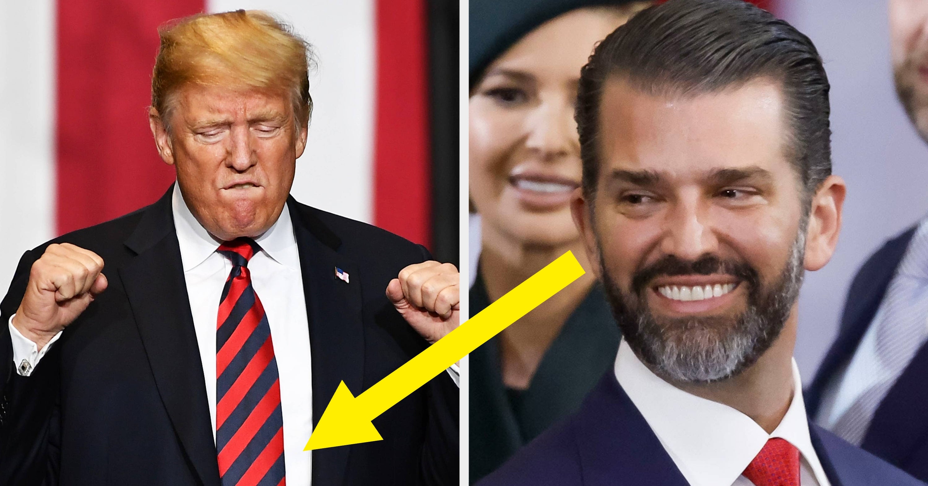Donald Trump Jr. Just Shared A Really, Really Weird Post About His Dad's Genitals
