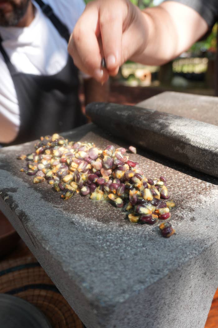 Person using a traditional stone grinder to crush corn kernels, possibly for making masa or another preparation