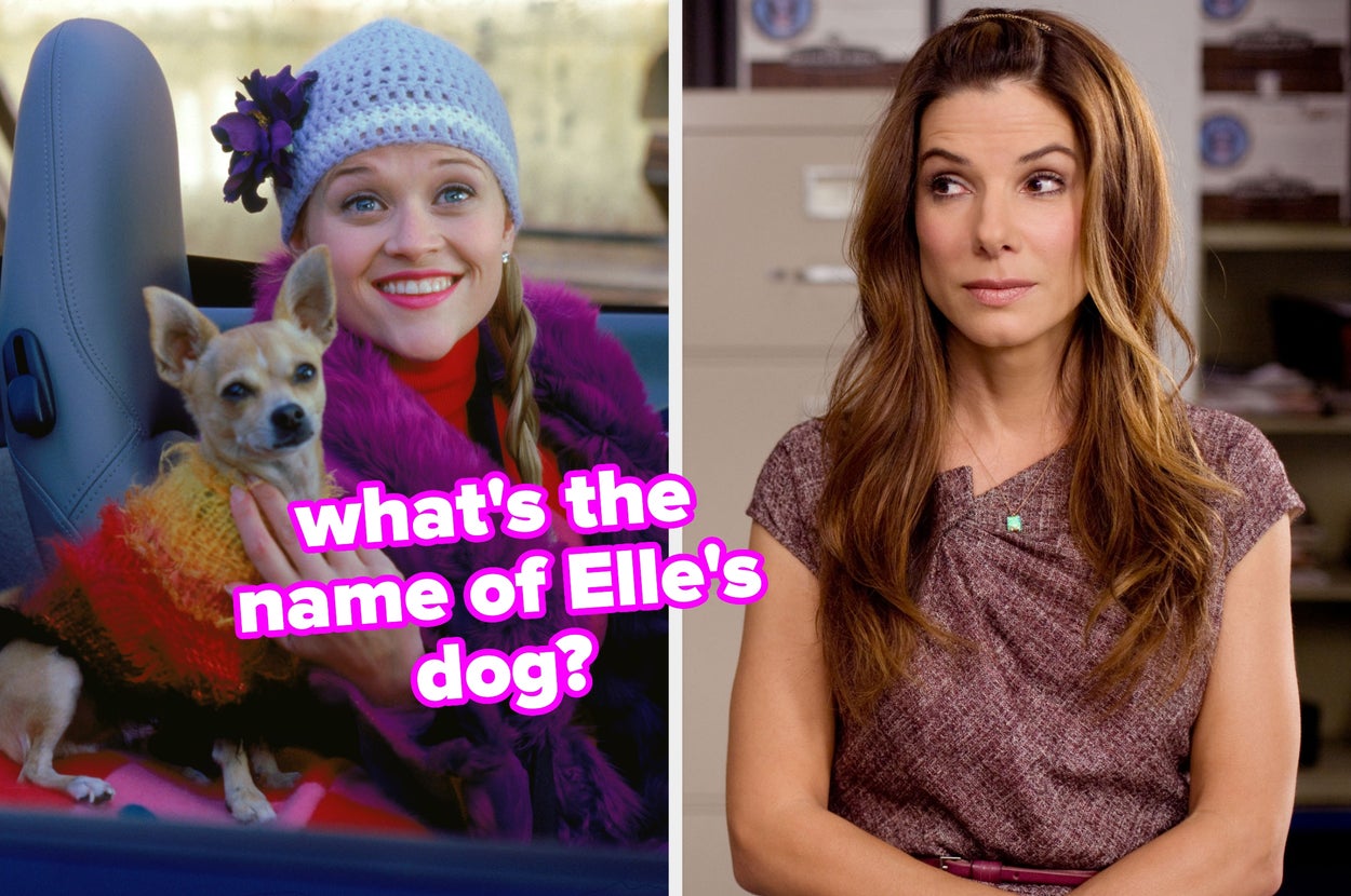 I Just Can't Wait To See If You Get A Perfect Score On This Rom-Com Trivia Quiz