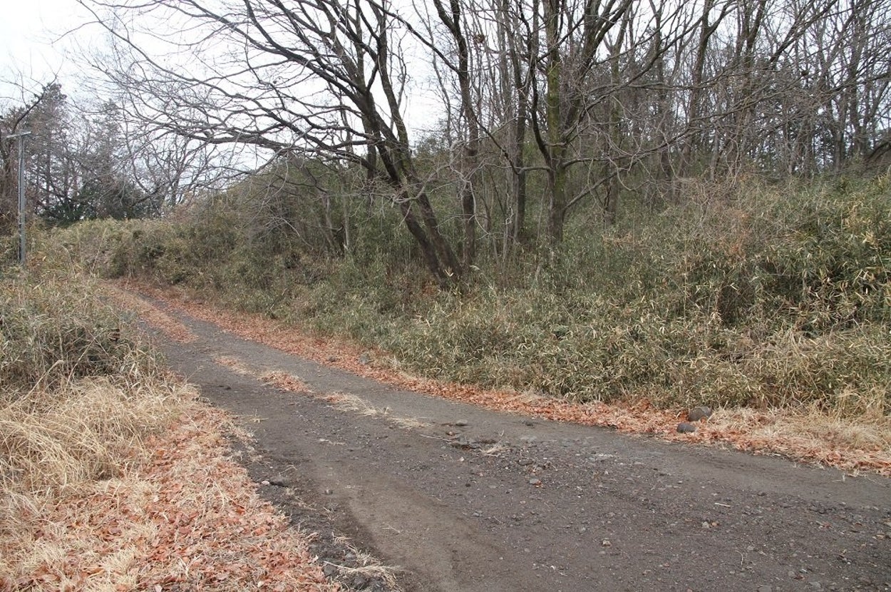 自衛官が隠れた風景写真「自衛隊群馬地方協力本部」の公式（@gunma_pco）より