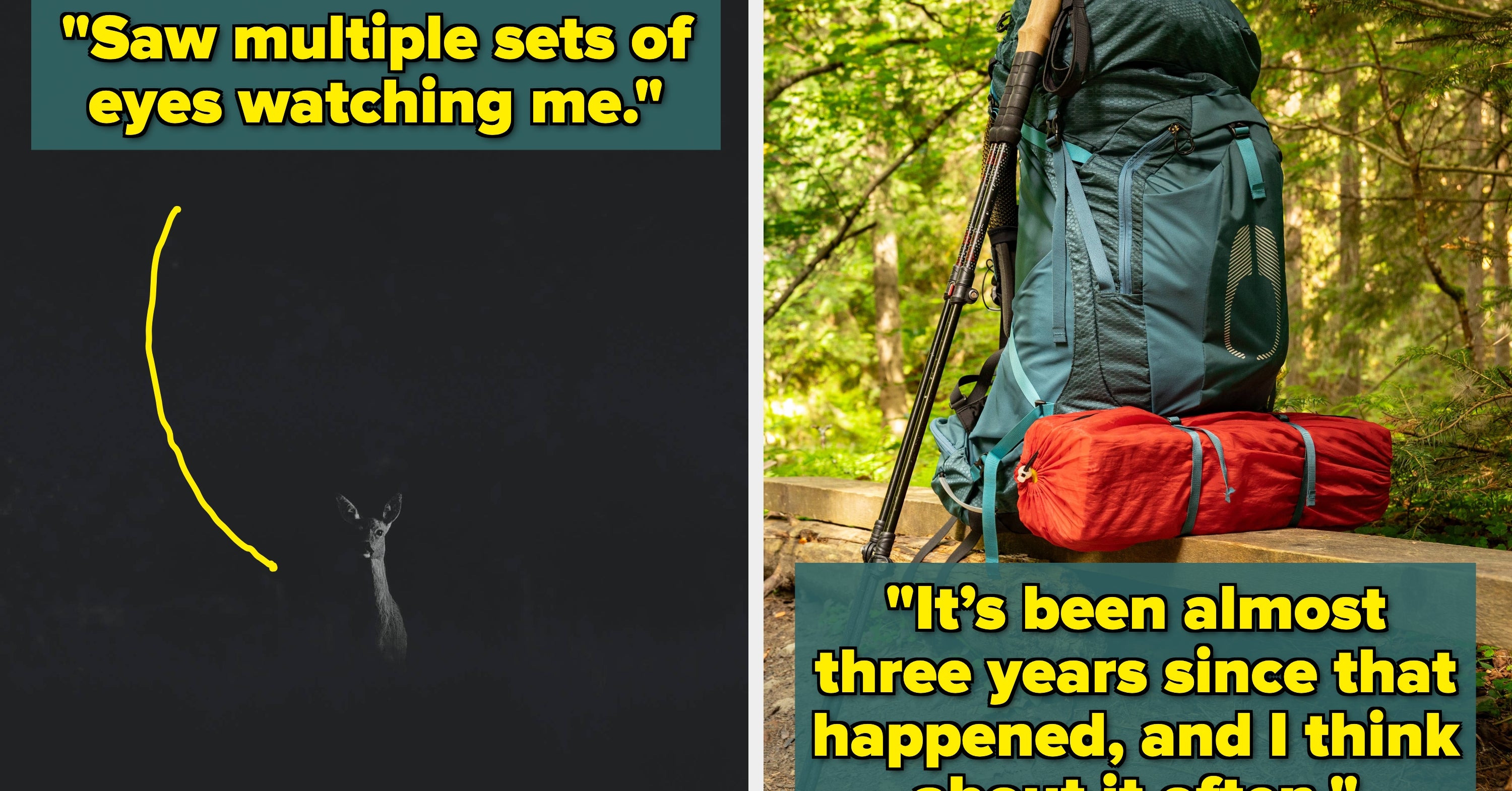 People Who Love The Great Outdoors Are Sharing Their Most Disturbing Encounters, And Now I'm Permanently Moving To A High-Rise Apartment