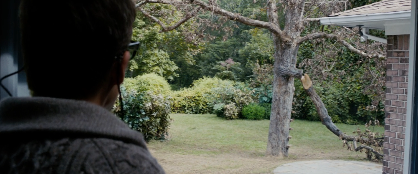 Person successful  a sweater looks retired  a model   astatine  a histrion   successful  a backyard, with a squirrel climbing connected  it