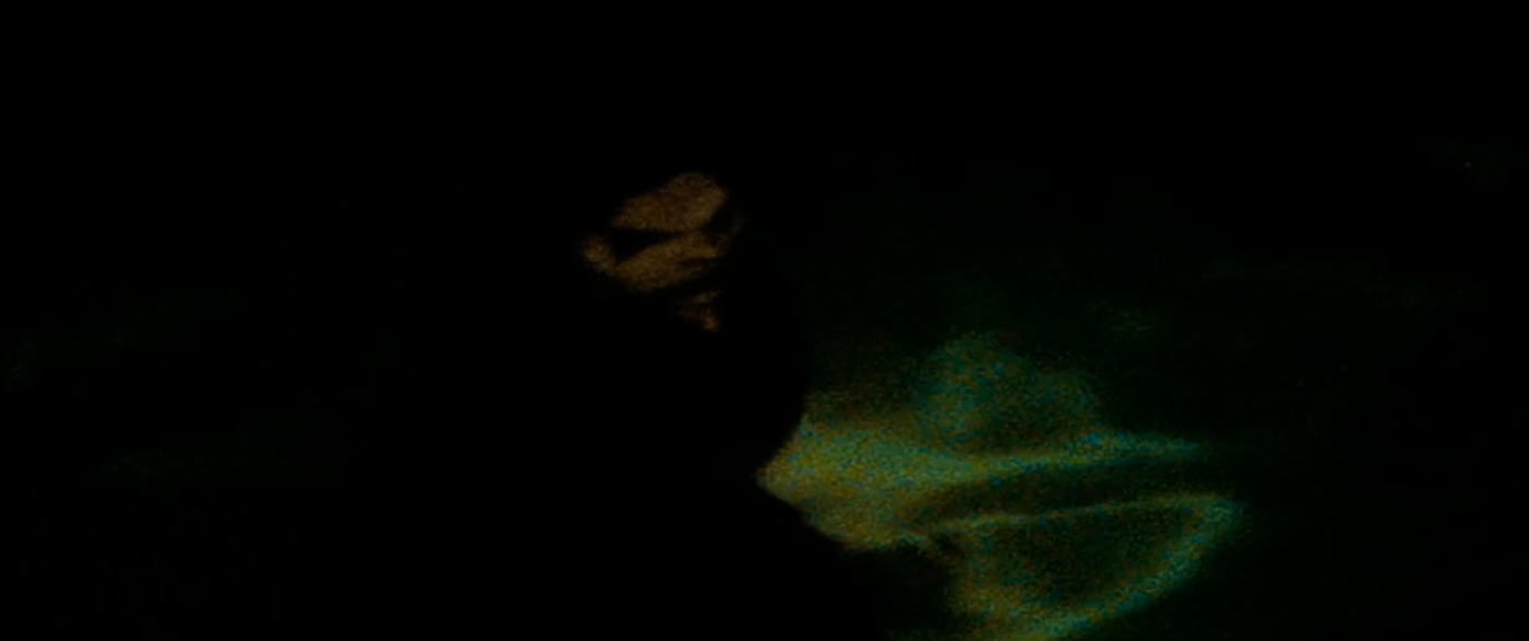 A idiosyncratic   is partially disposable   successful  dim lighting, perchance  underwater. The mounting  is excessively  acheronian  to discern further details