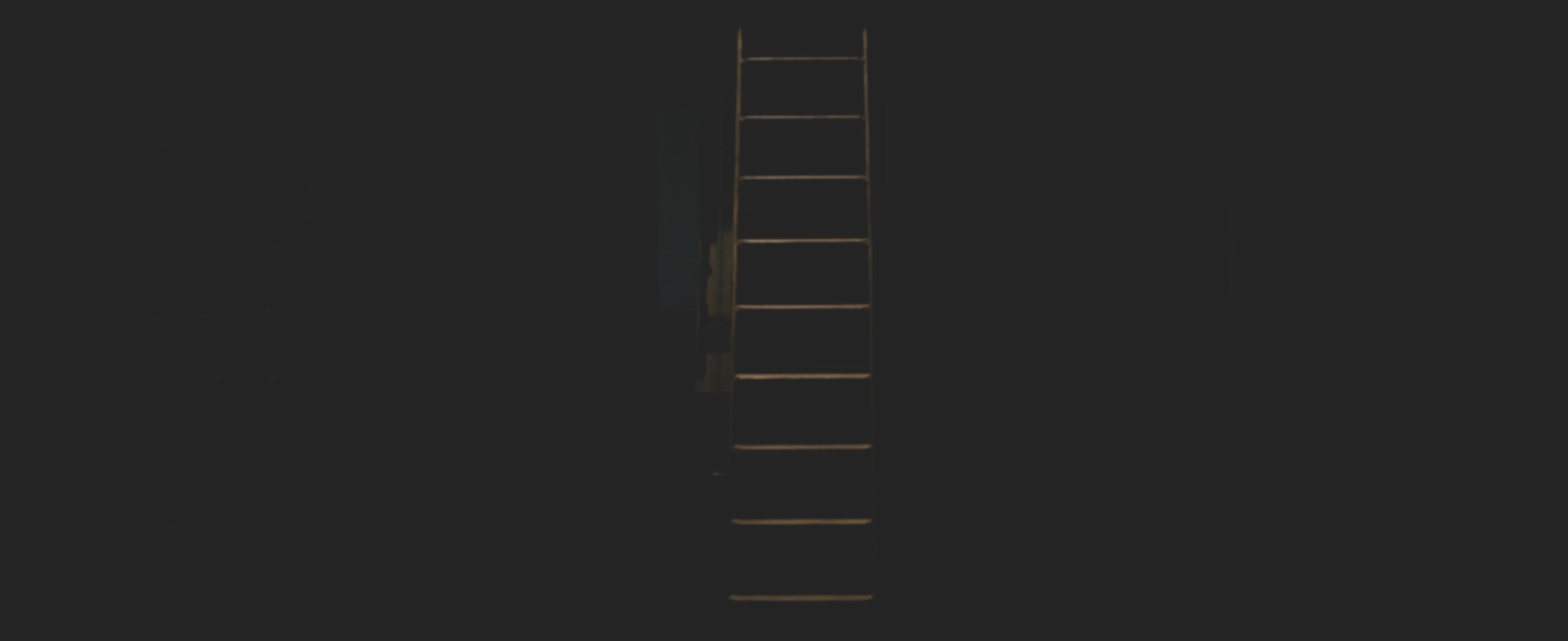 A ladder lasting  unsocial  successful  a acheronian  space, emerging from the shadows into dim light