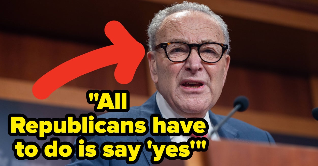 Democrats Just Made An Offer To End The Shutdown If Republicans Can Agree To Just This 1 Thing