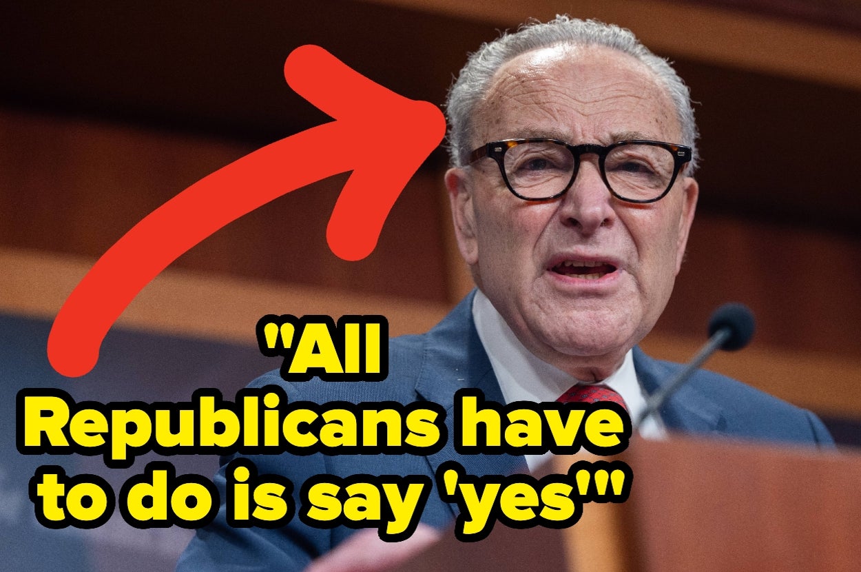 Democrats Just Made An Offer To End The Shutdown If Republicans Can Agree To Just This 1 Thing