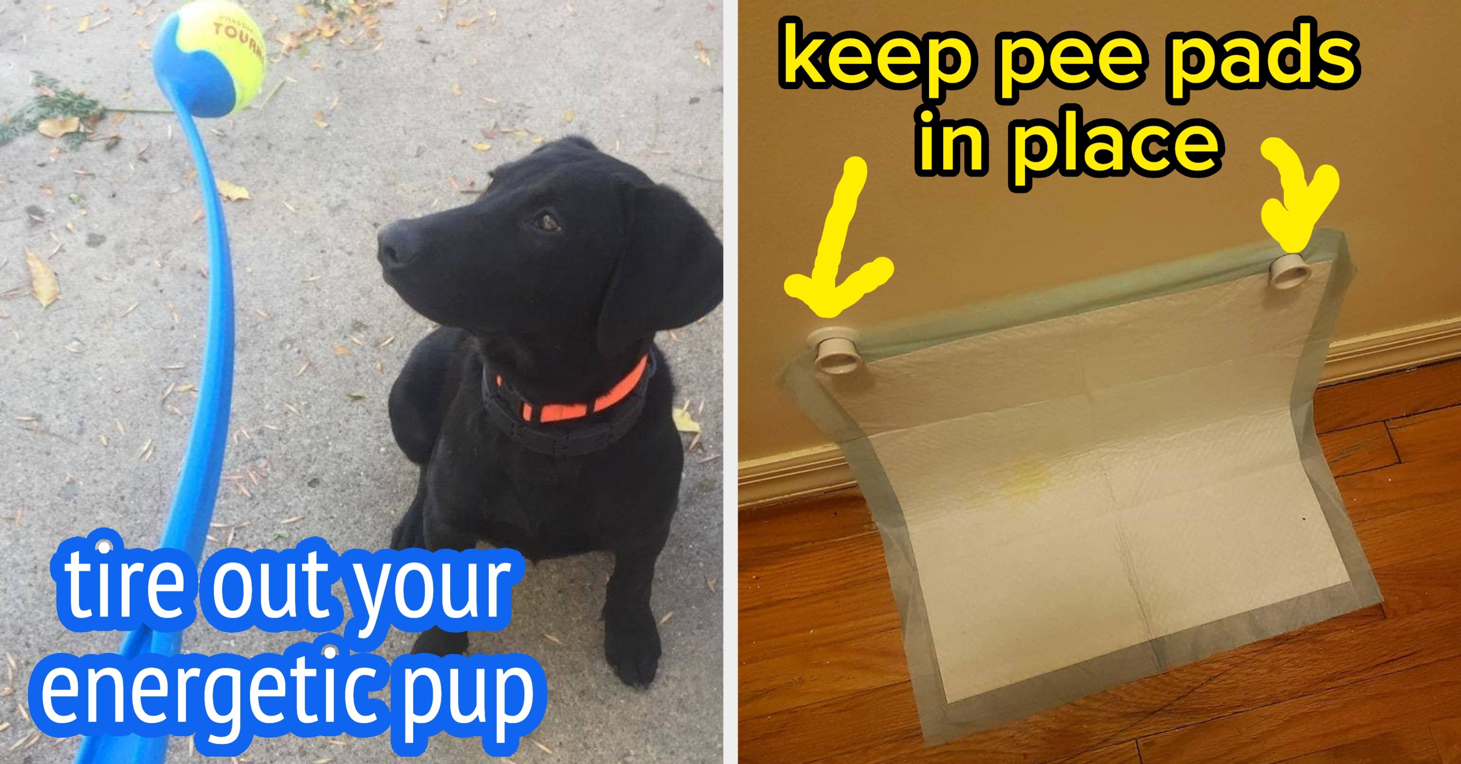 26 Things Under $25 That’ll Keep Your Pets From Destroying Your Home And Precious Belongings