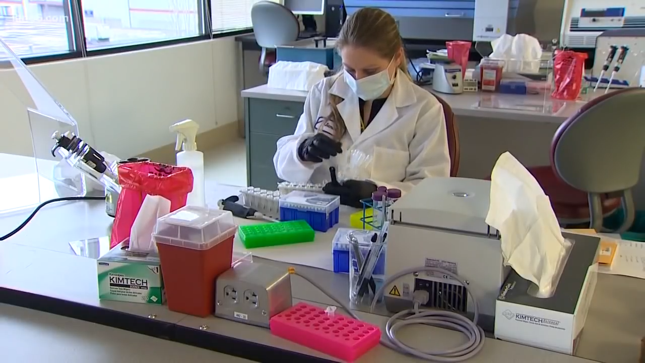 Lab technician wearing a disguise and gloves moving with trial tubes and instrumentality successful a laboratory setting