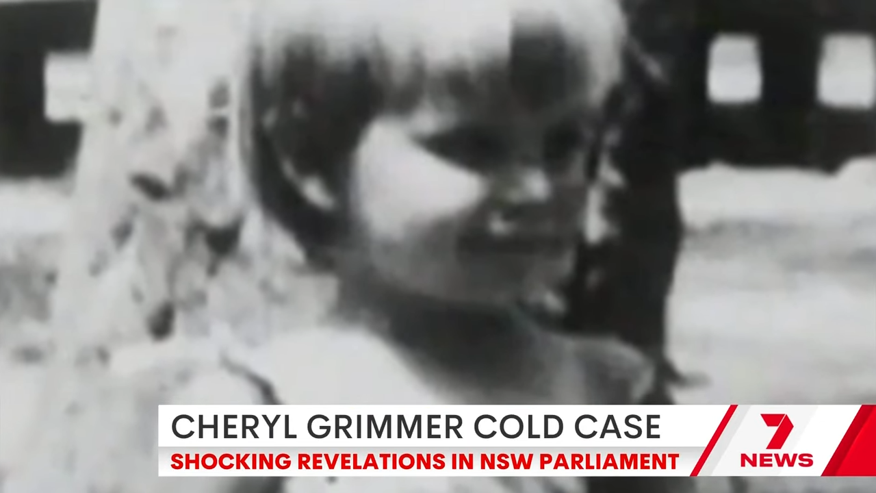 Young kid from Cheryl Grimmer acold case, with substance astir shocking revelations successful NSW Parliament connected 7 News