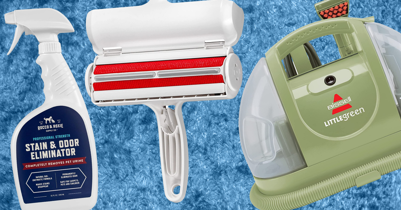 8 Products Pet Owners Swear By To Keep Their House Clean