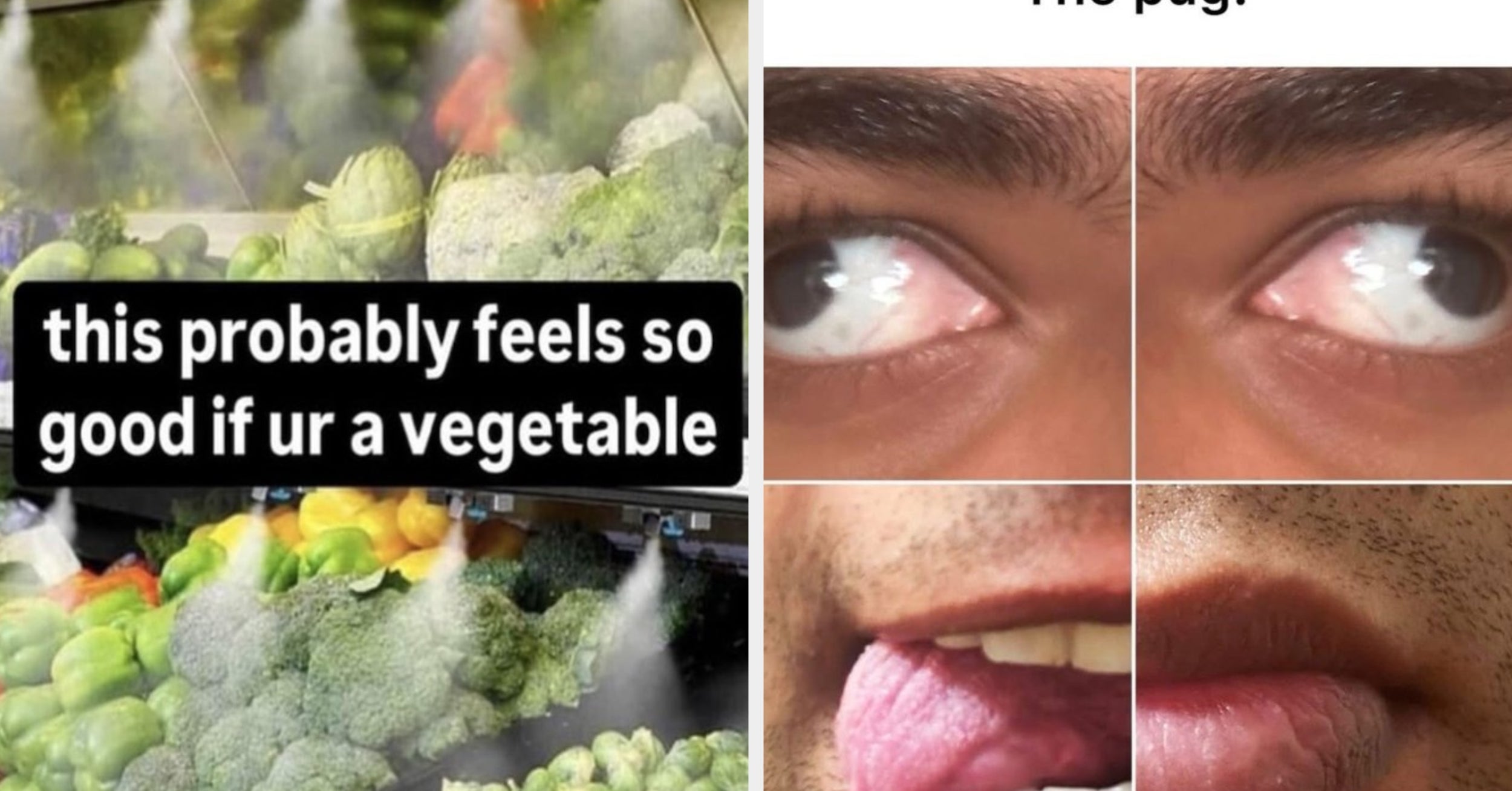 36 Ridiculously Stupid Screenshots That Get Funnier And Funnier And Funnier And Funnier And Funnier And Funnier No Matter How Many Times I’ve Seen Them