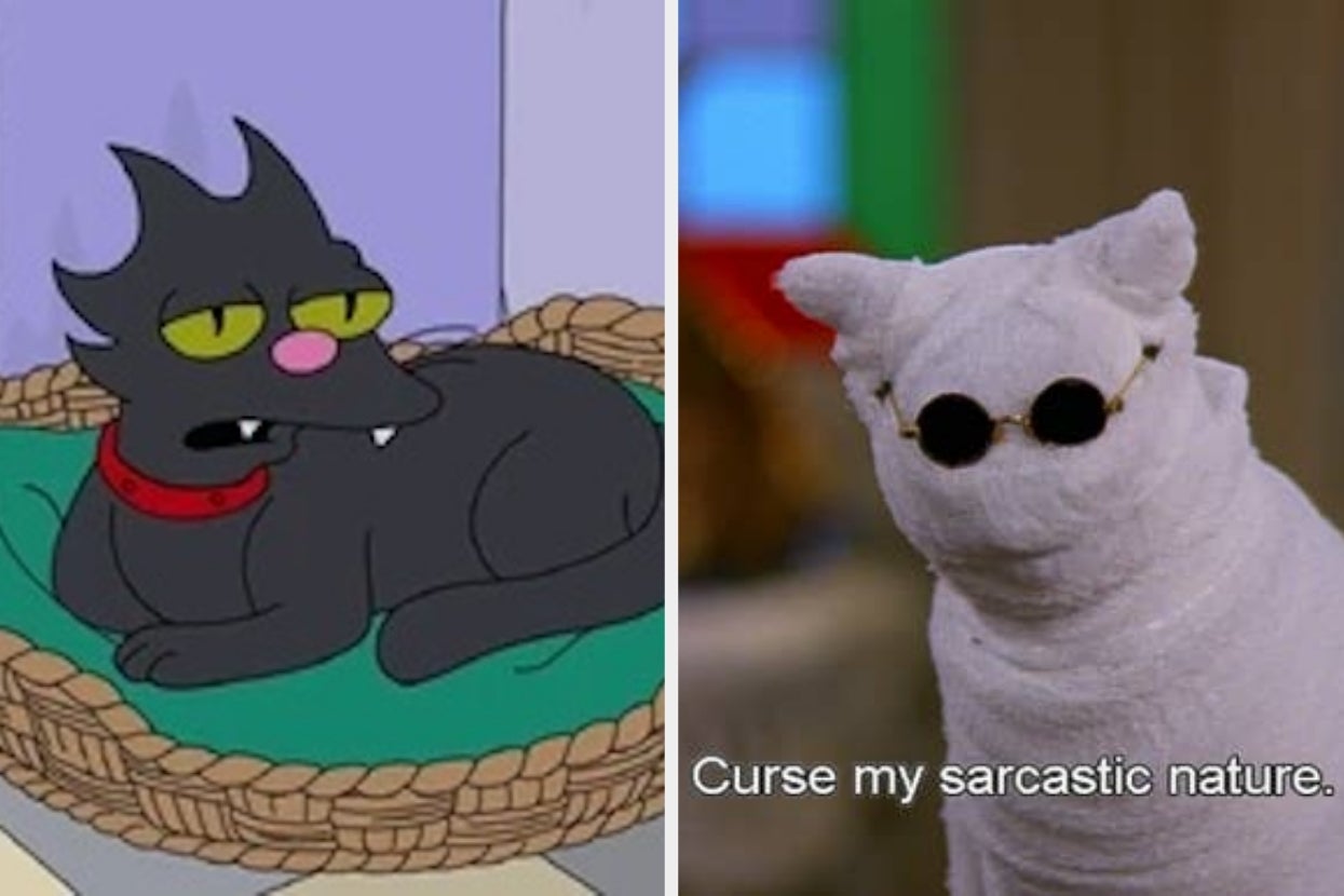 If You Can Name These TV Shows Just By Looking At Their Cats, You're Definitely A TV Expert