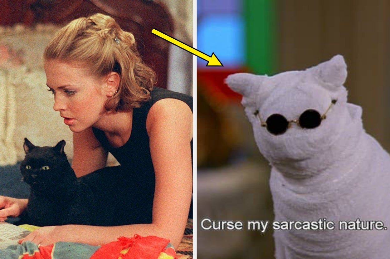 Can You Name The TV Show By The Cat?