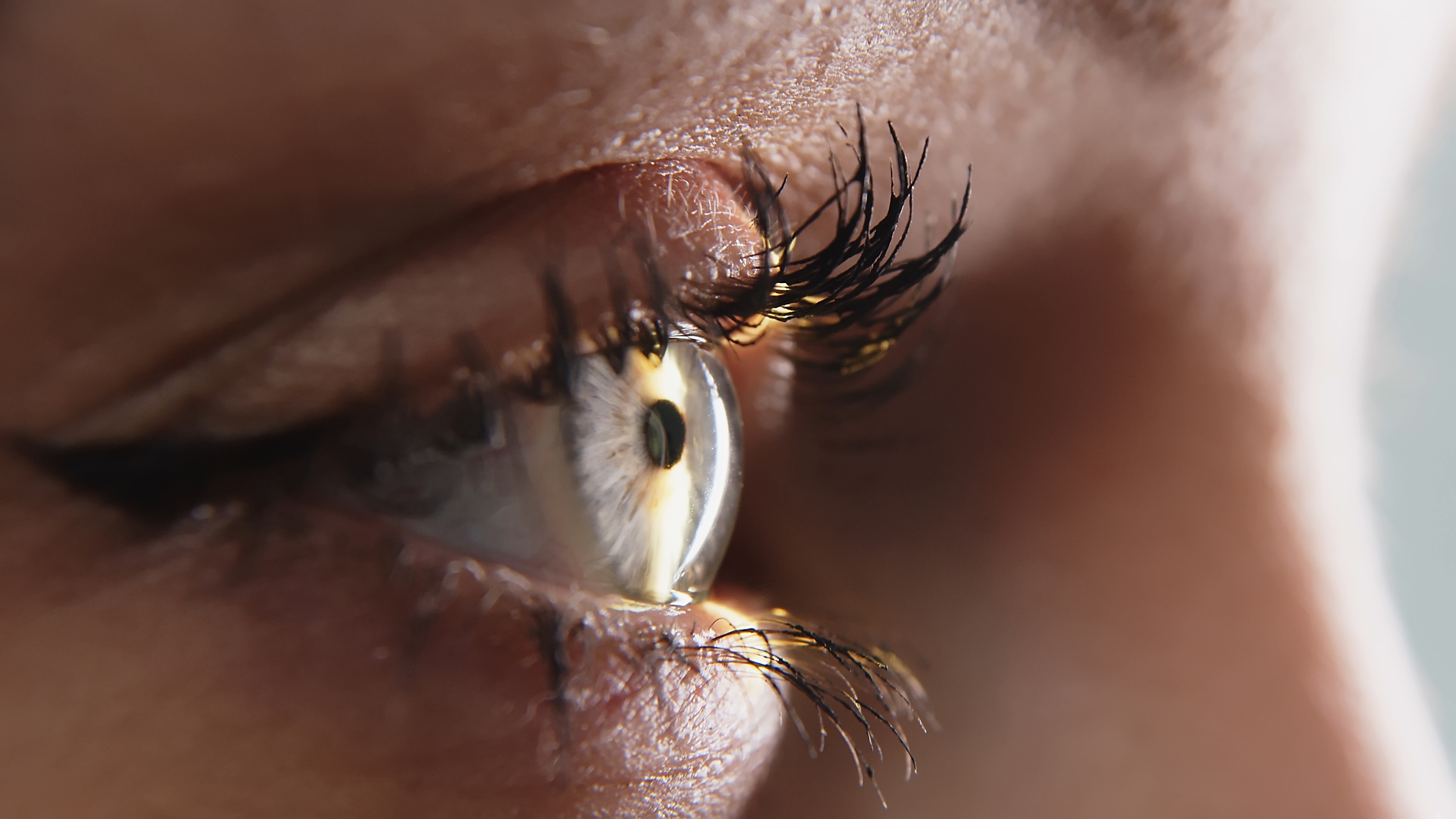 A close-up of an oculus  looking intently to the right, highlighting agelong  eyelashes and airy  reflection   successful  the pupil