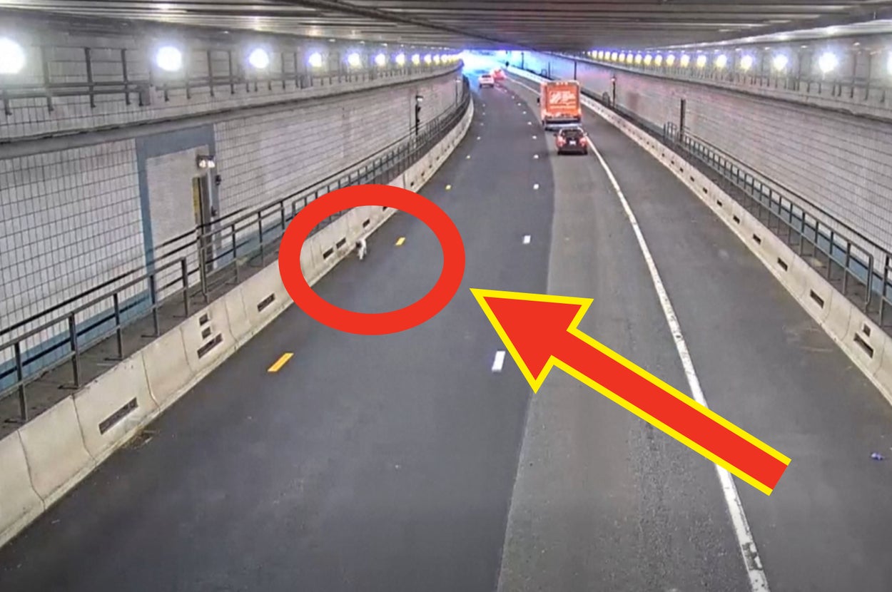 トンネル内を走行する車両と片側に警告表示のあるトラック。