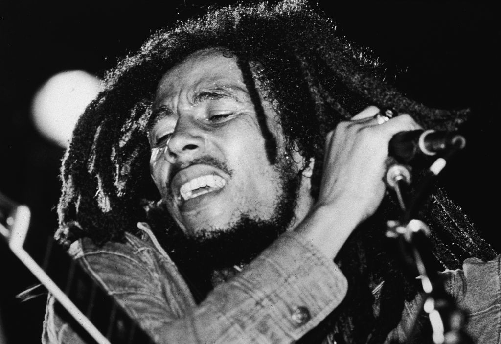 Musician with dreadlocks passionately performing connected stage, holding a microphone