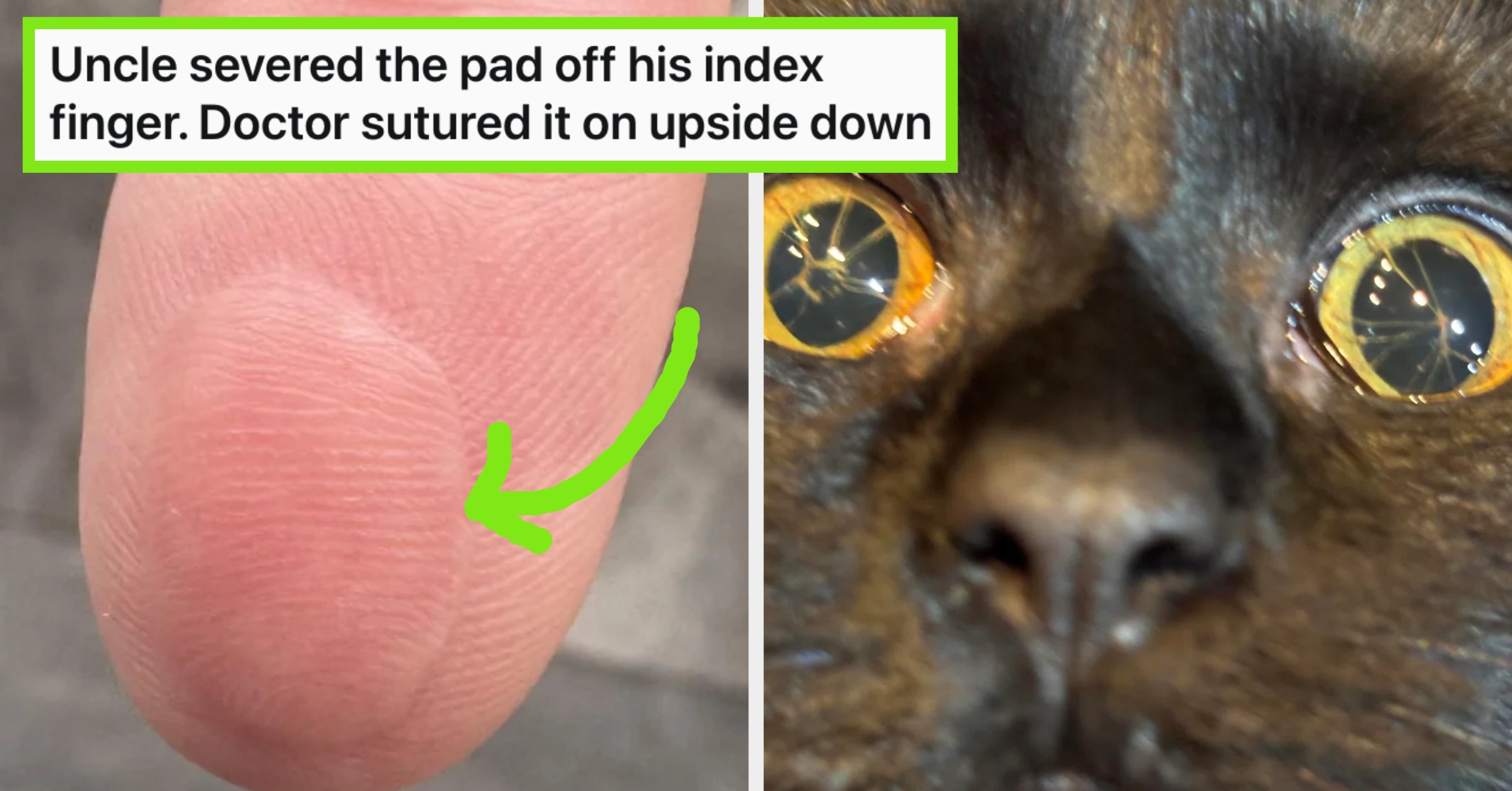 27 Photos That Genuinely Look Like They're From An Alternate Universe, And It's Creeping Me Out A Bit, Actually