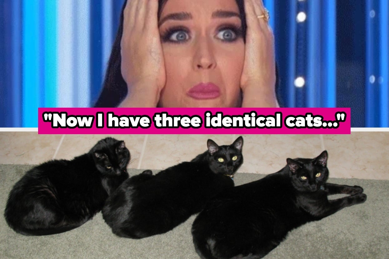 People Are Sharing Life Experiences So Statistically Impossible, My Brain Is Literally Malfunctioning Asjdakocfoidsfhuhshdbcsijvfd