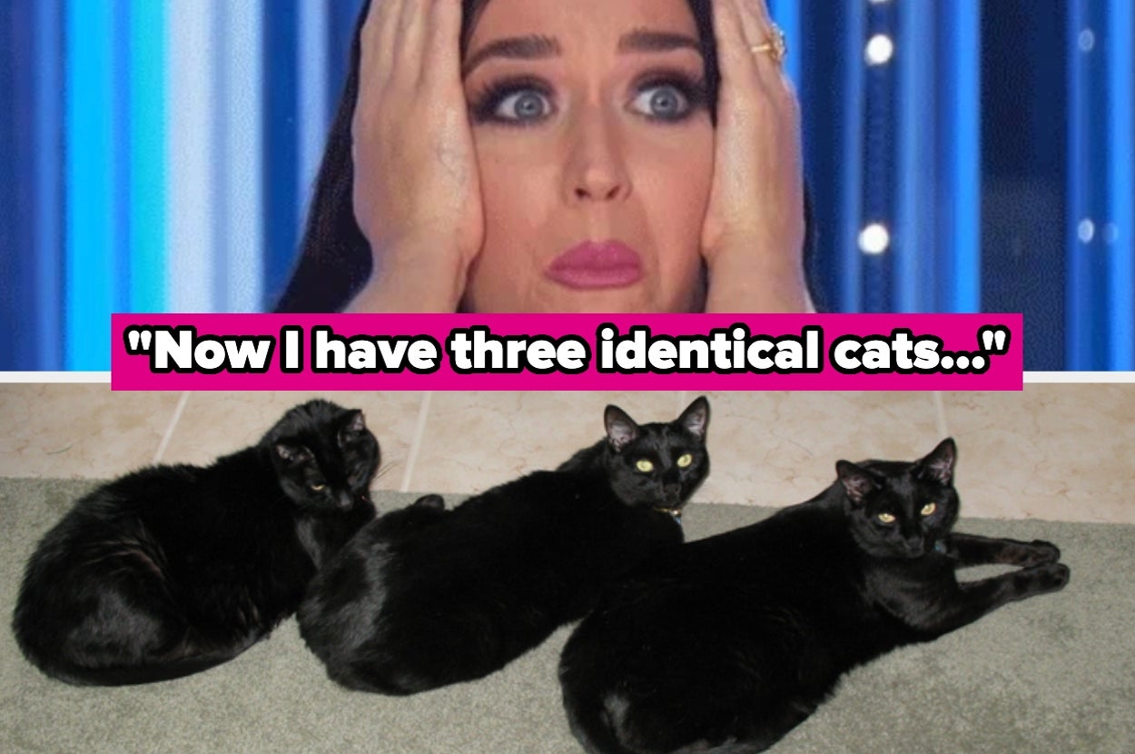 People Are Sharing Life Experiences So Statistically Impossible, My Brain Is Literally Malfunctioning Asjdakocfoidsfhuhshdbcsijvfd