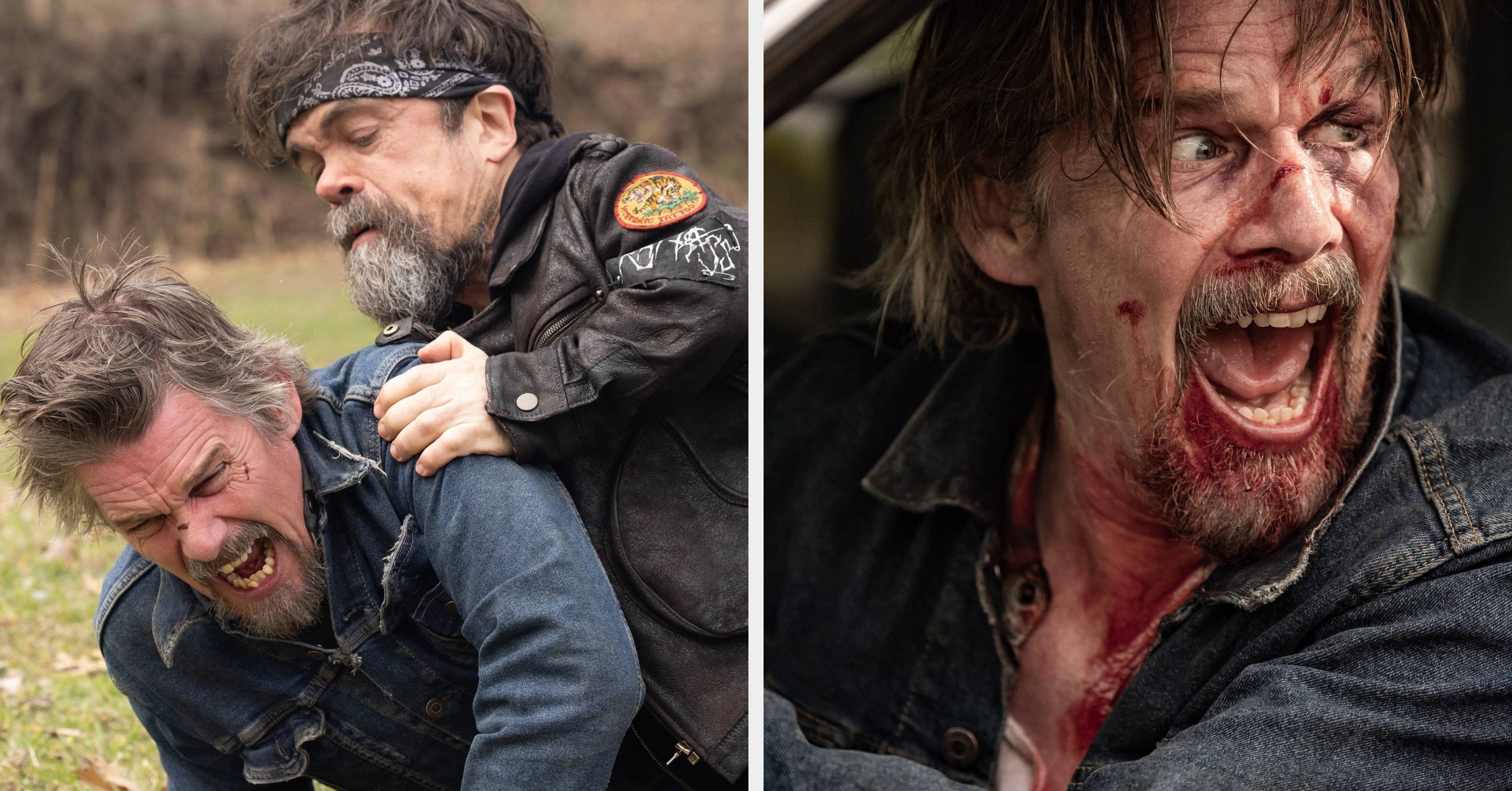 If You Love A Procedural Fix, 21 Reasons You’ll Be Into “The Lowdown” With Ethan Hawke