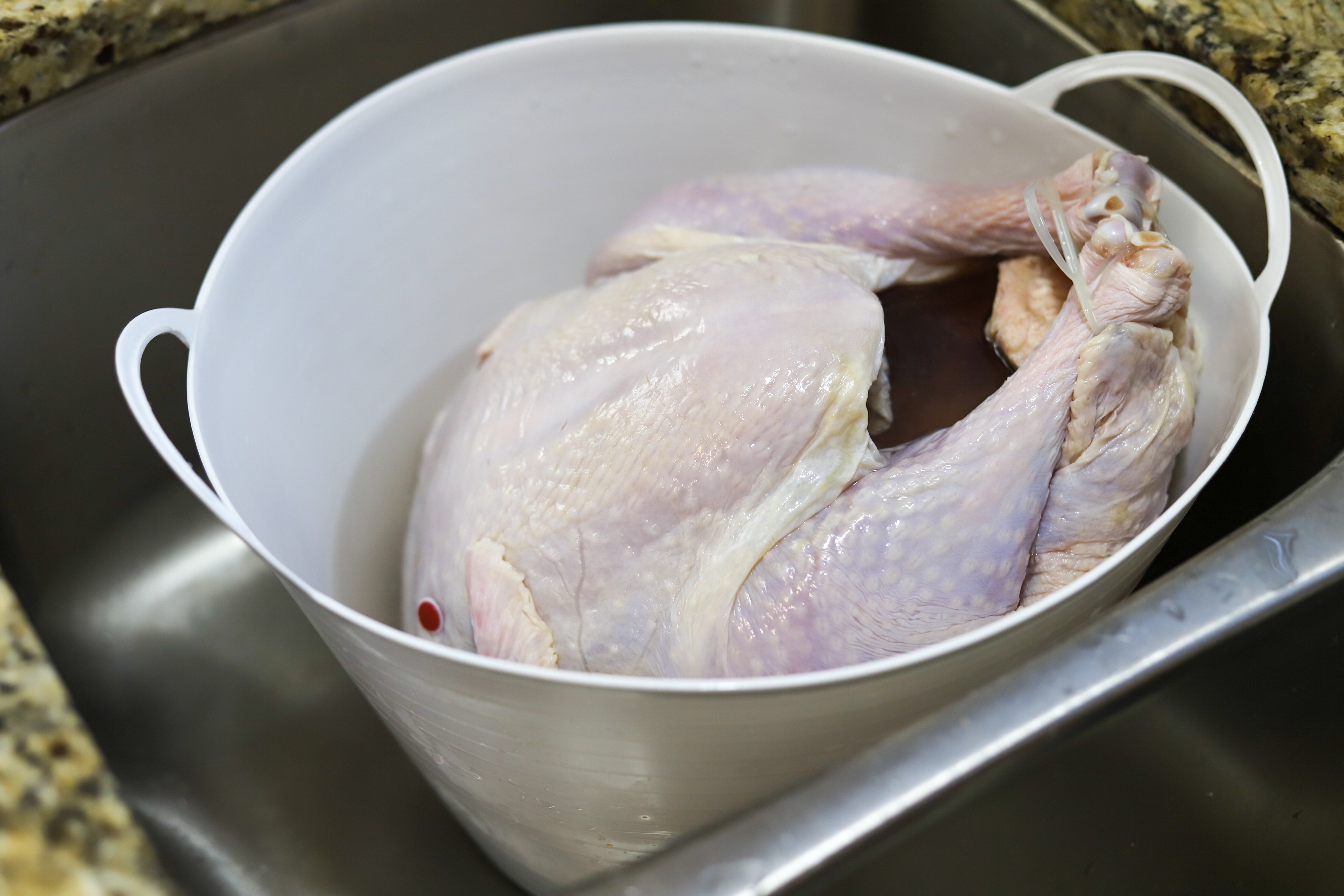 Uncooked turkey in a white bucket placed in a sink, ready for preparation