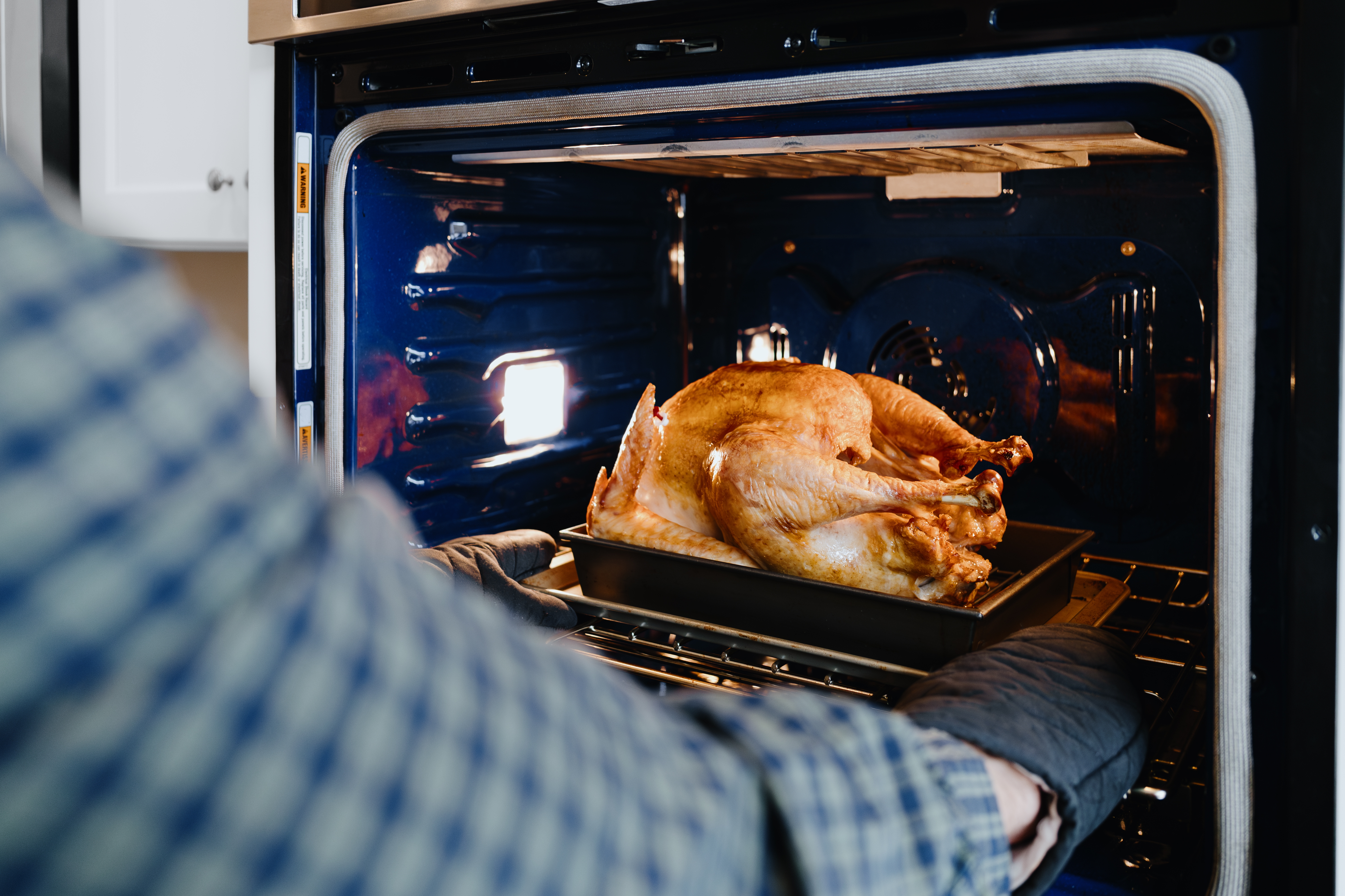 Person places cooked turkey on a tray inside an open oven