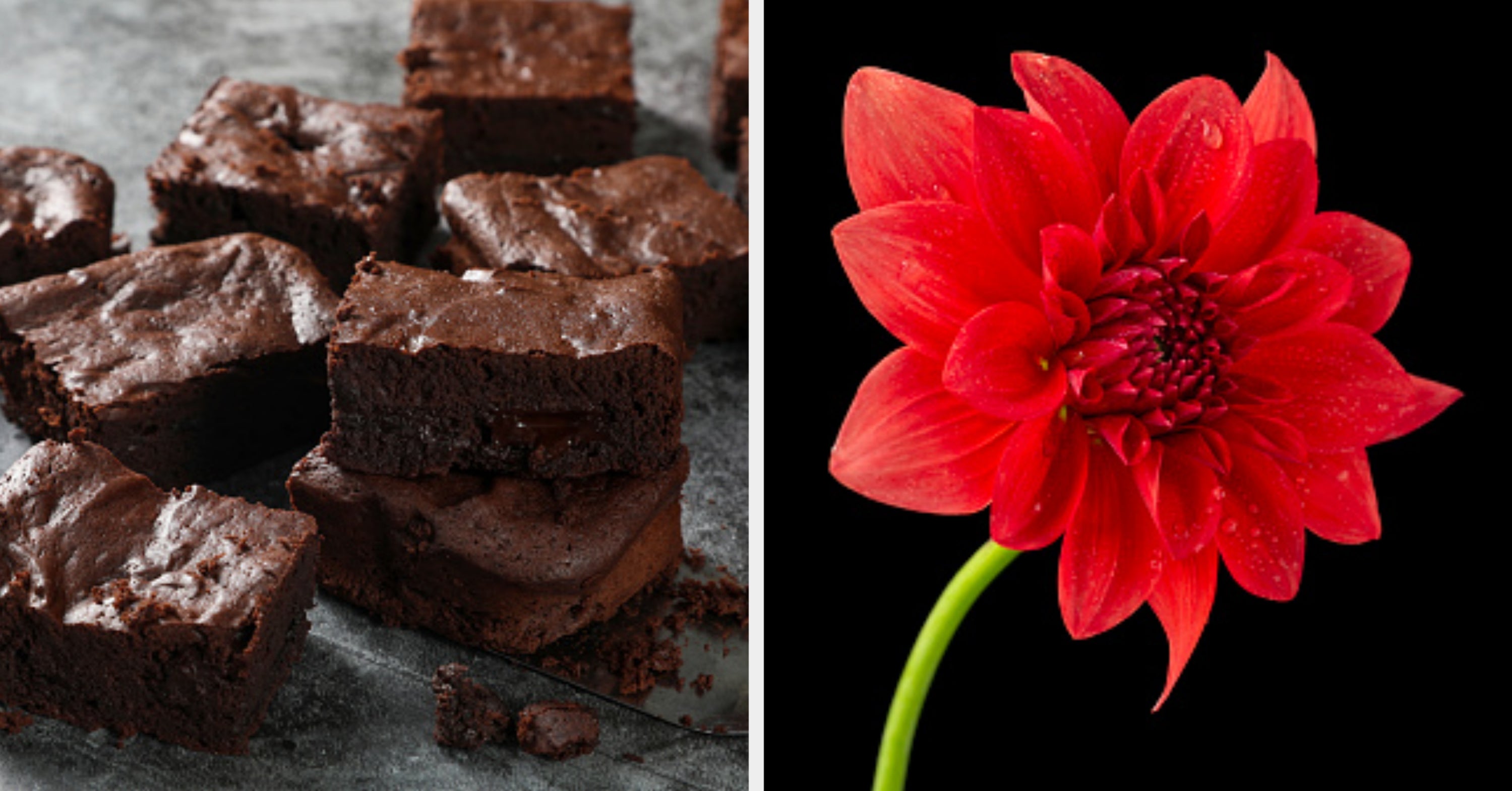 Choose Some Food From A-Z And Find Out What Kind Of Flower You Are!