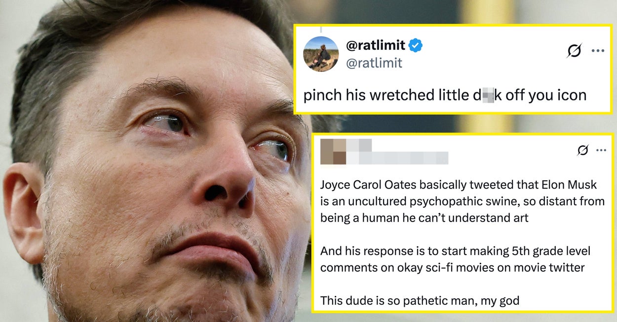 Elon Musk Just Got The Takedown Of The Century, And The Internet Thinks He's Veryyyy Butthurt