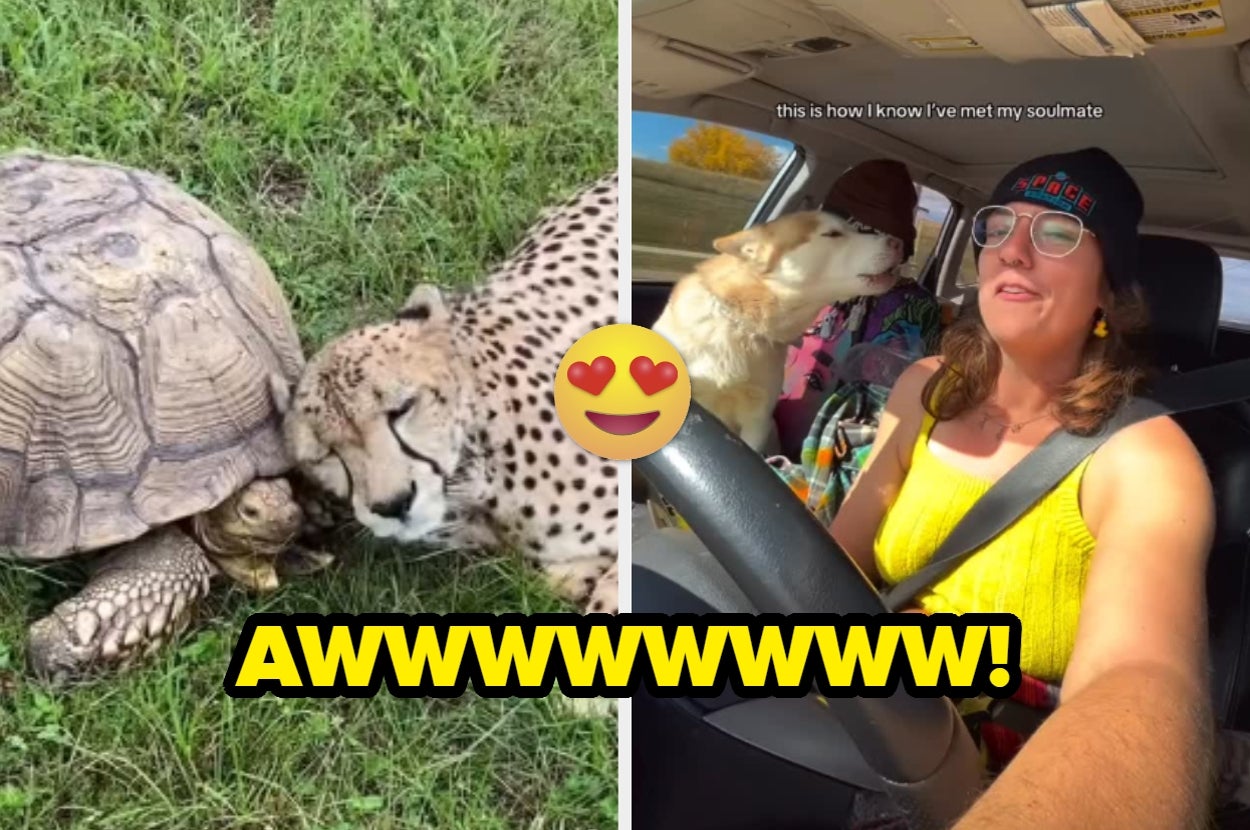 These 22 Wholesome Internet Moments Prove That The World Isn't Absolute Garbage