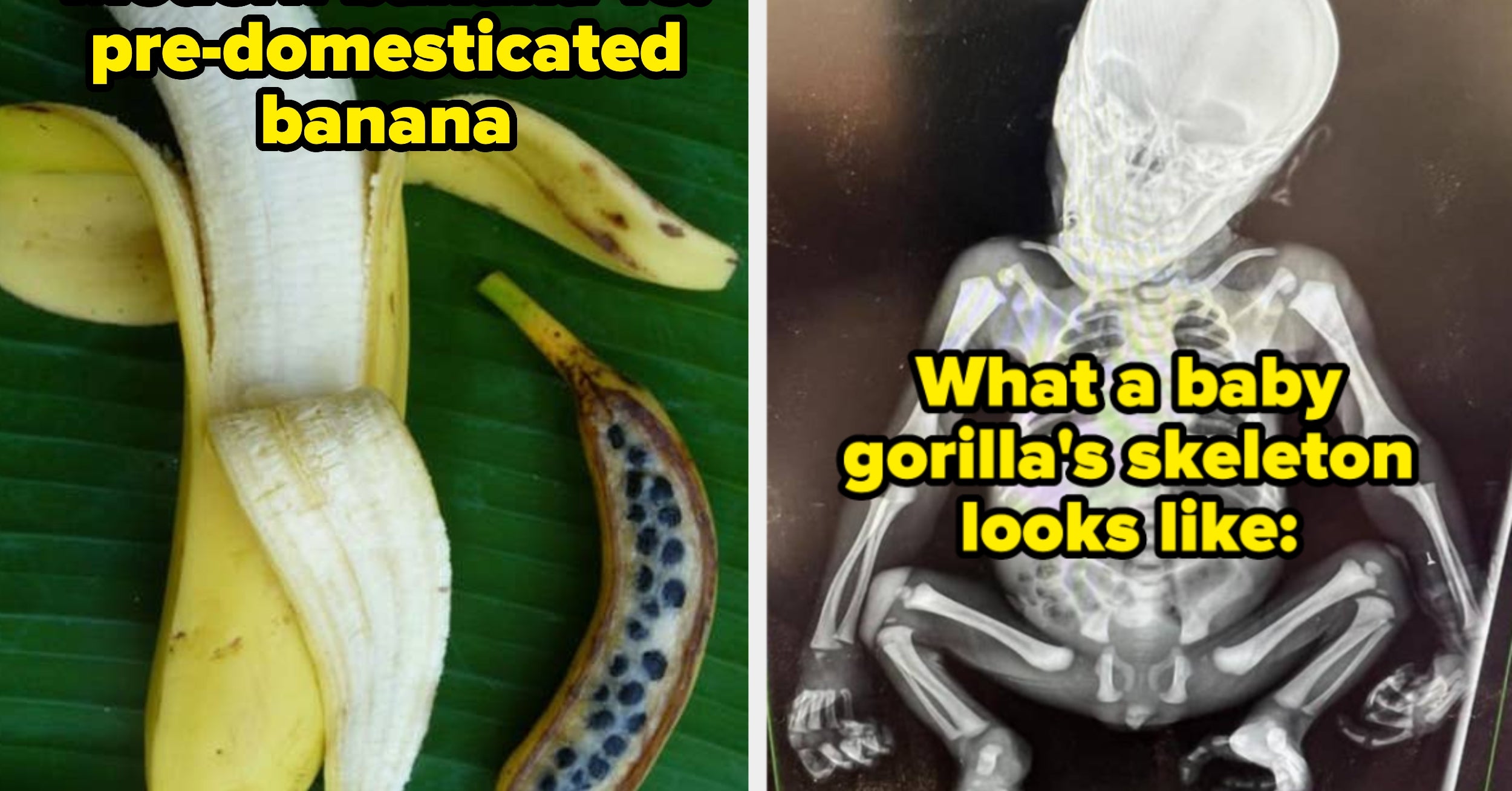 45 Weird, Wild, And Fascinating Photos That Will Show A Side Of The World That 99% Of People Haven't Seen Before