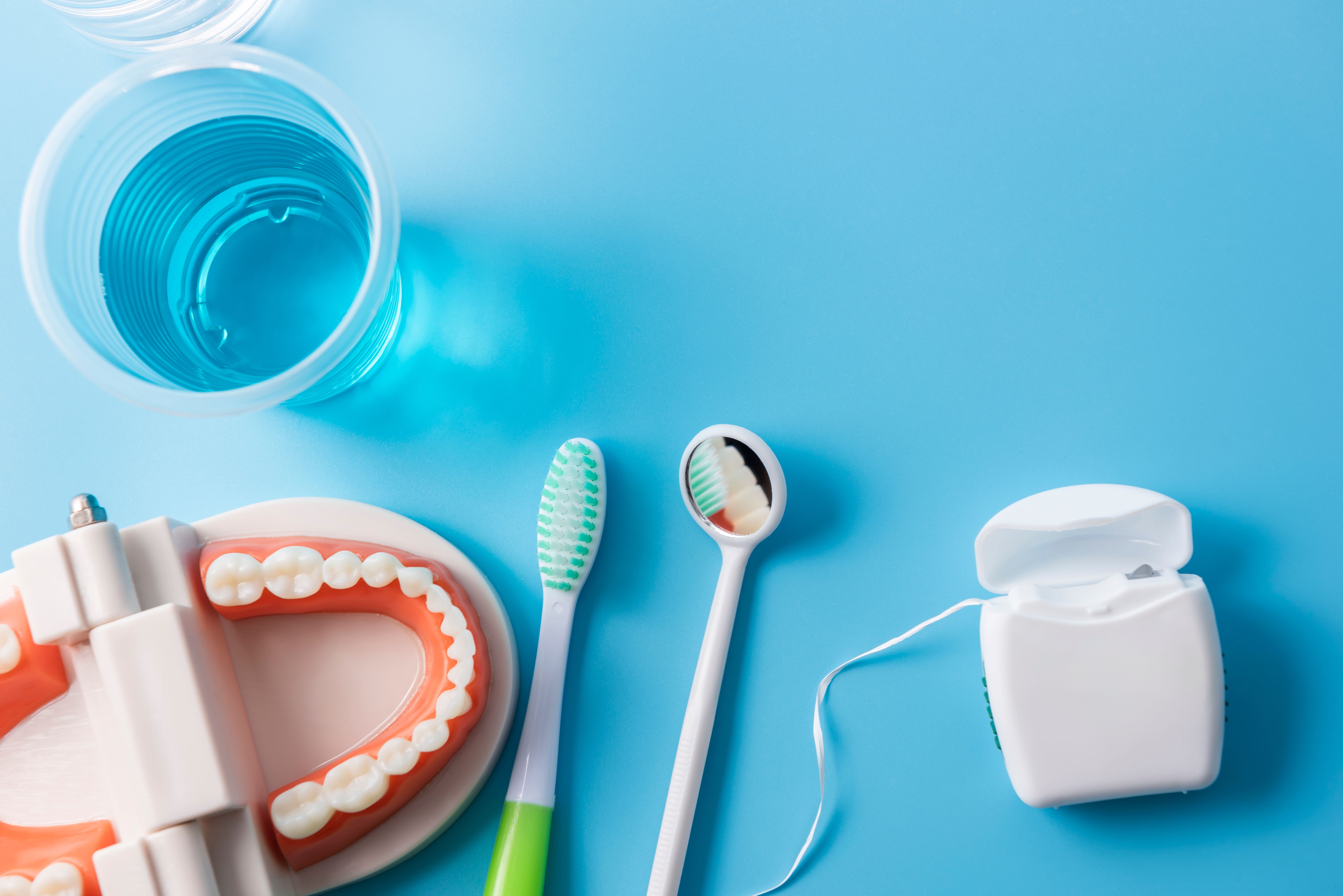 Tannartikler: en kjevemodell, to tannbørster, en kopp munnvann og tanntråd på en overflate
