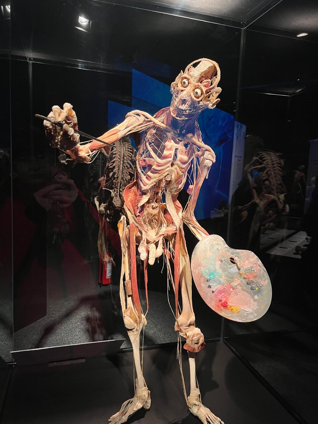 A realistic anatomical exemplary  posed arsenic  an artist, holding a overgarment   palette and brushwood  successful  a solid  lawsuit  astatine  a museum