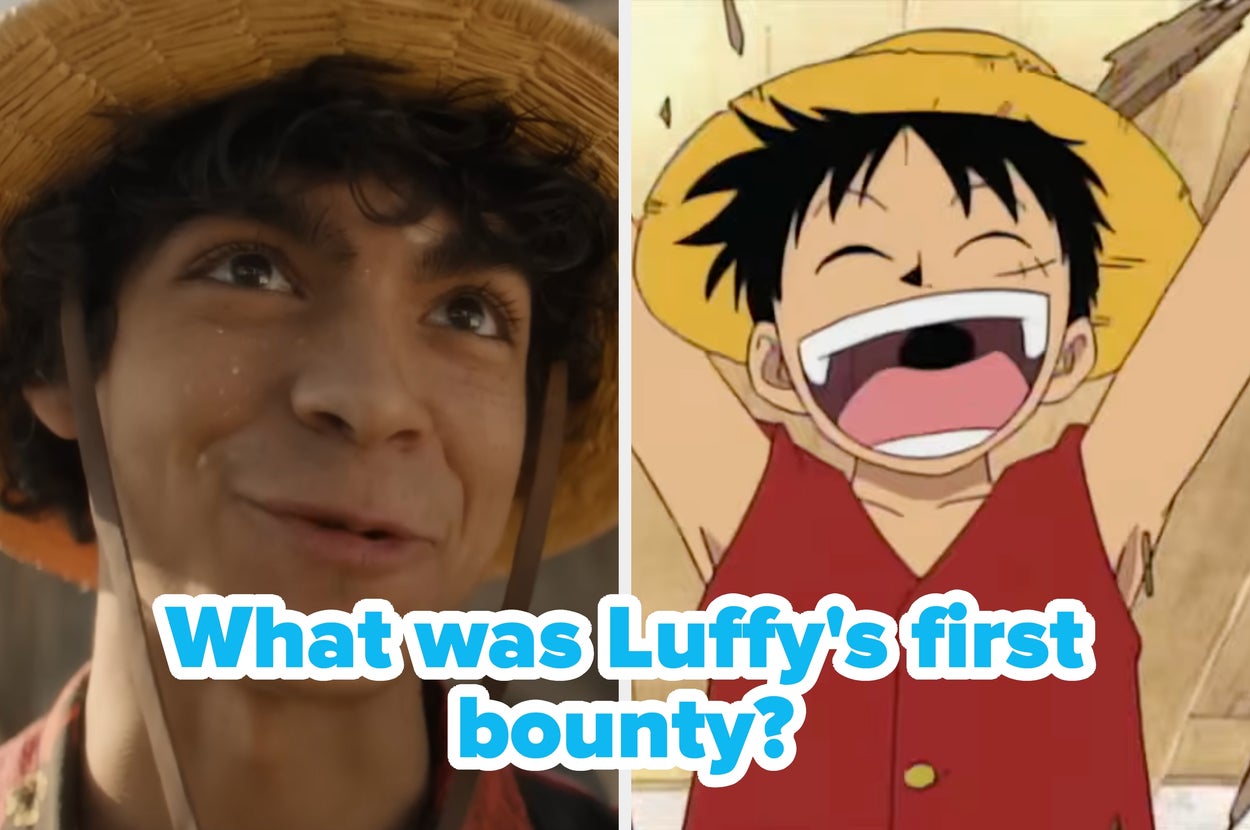 If You Can Pass This "One Piece" Trivia Quiz With A Score Of 85% Or Better, I'm Dubbing You An Honorary Straw Hat Member