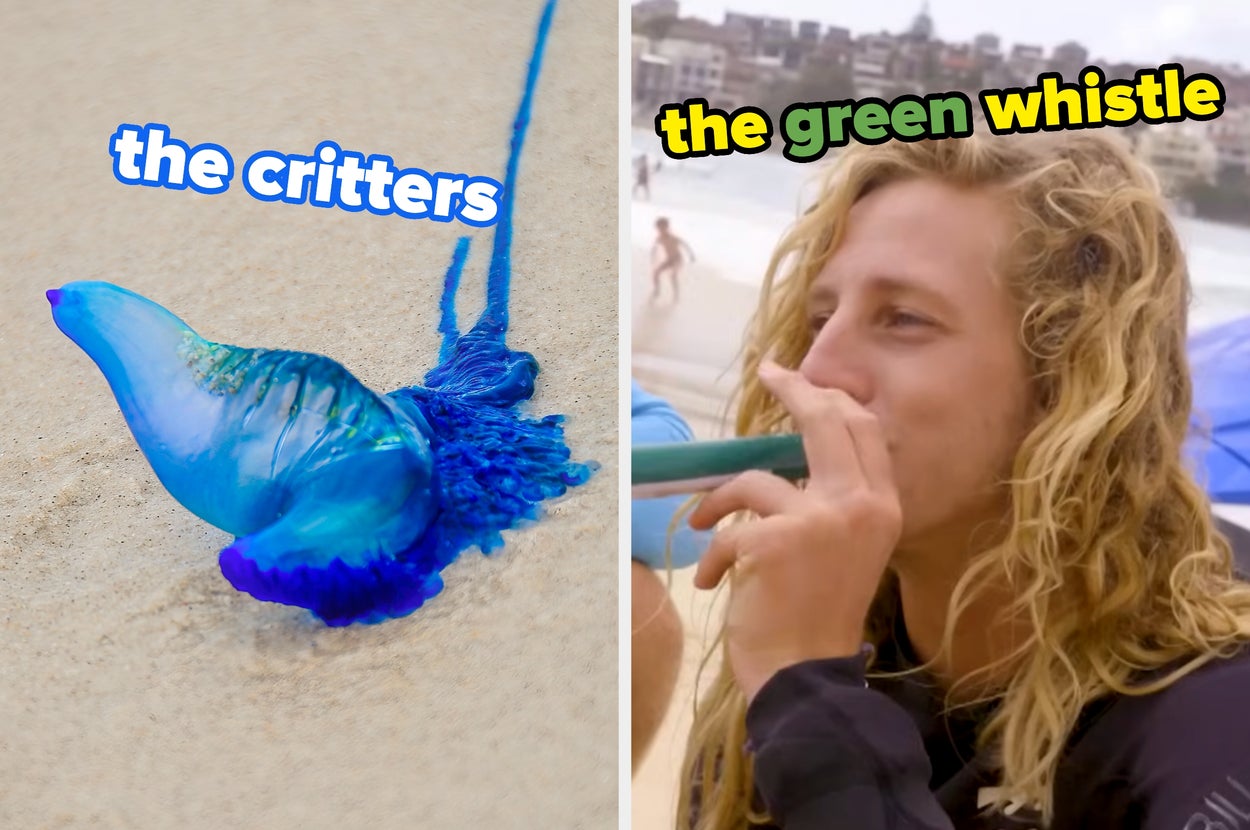 I'm Obsessed With "Bondi Rescue," And I Think You Should Be Too!