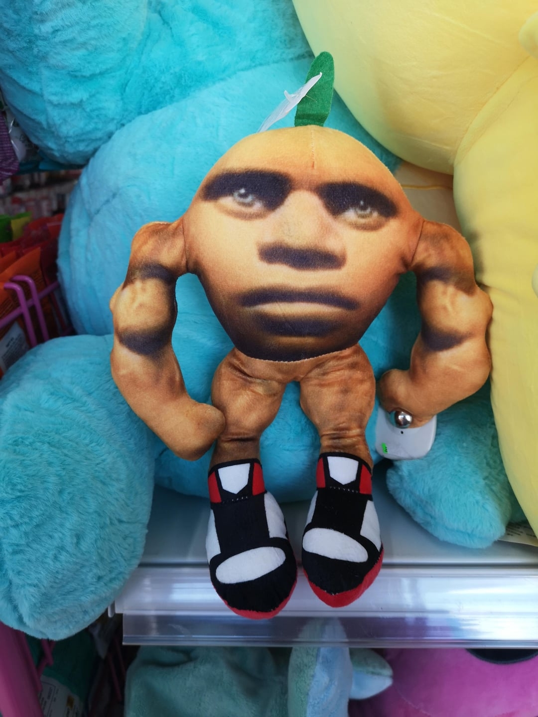 Plush artifact  with a human-like look   and muscular arms, wearing sneakers, displayed connected  a shelf