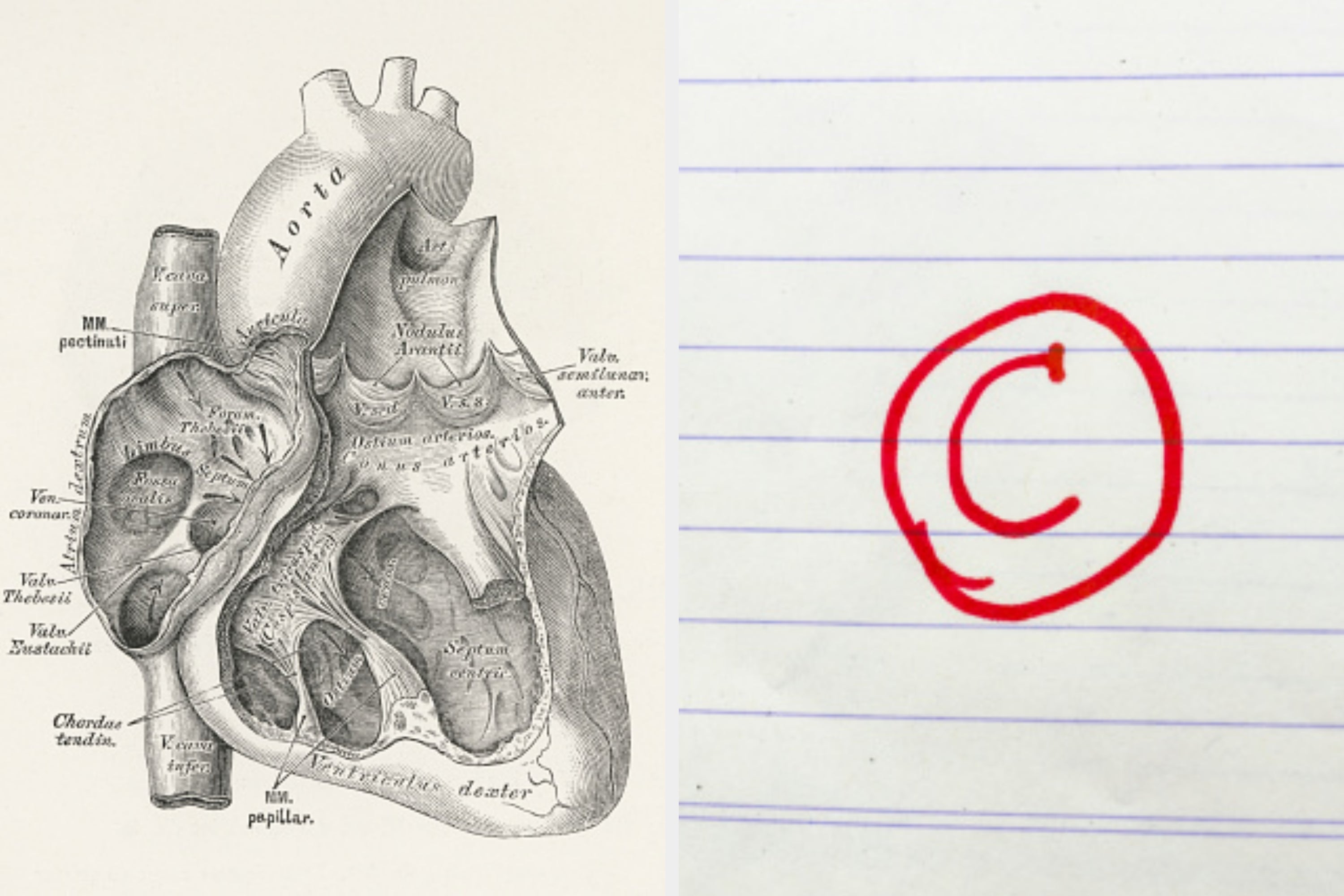 If You Can Answer These Bizarre Human Body Questions, Your Anatomy Knowledge Is OFF The Charts