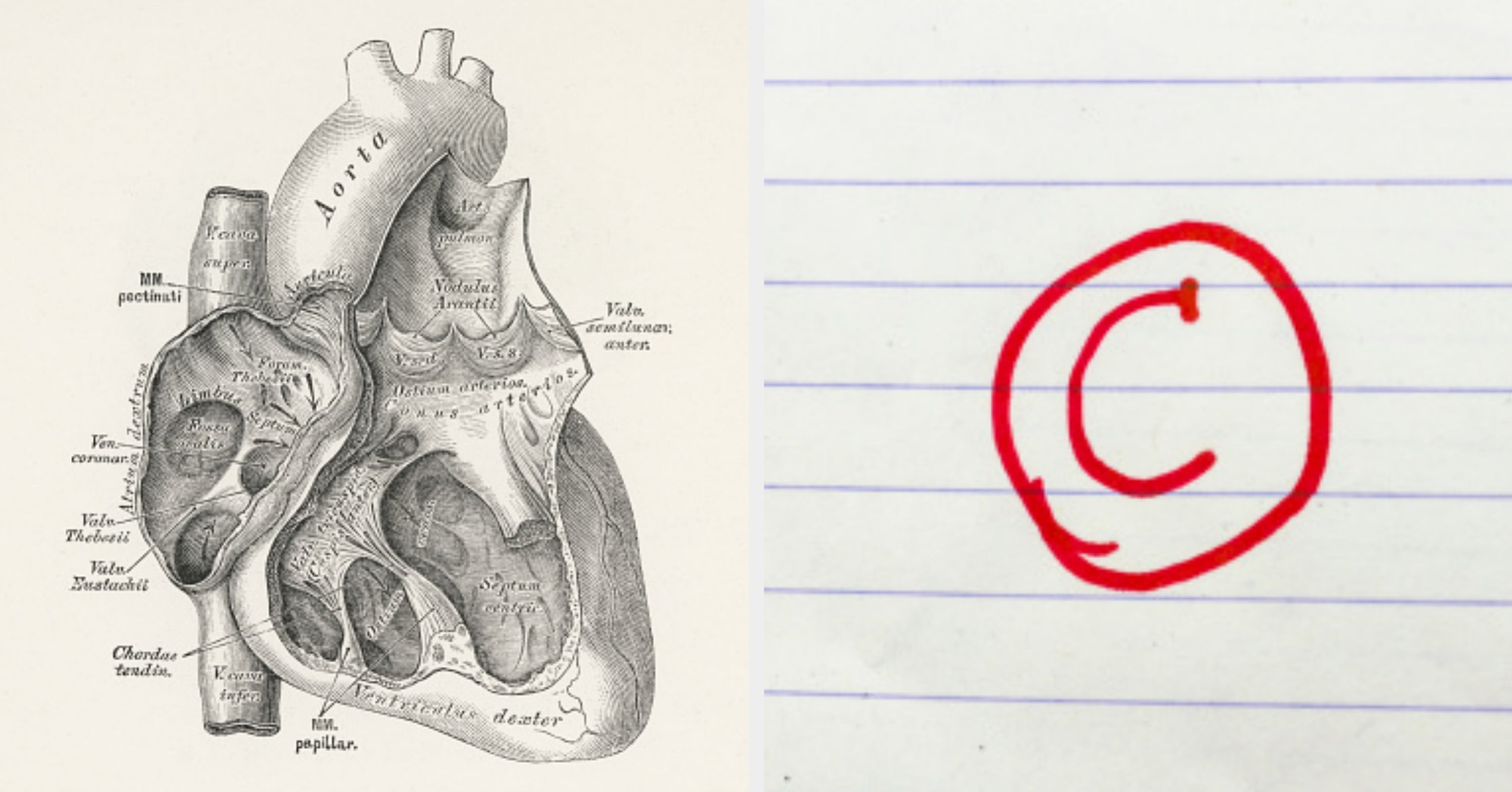 If You Can Answer These Bizarre Human Body Questions, Your Anatomy Knowledge Is OFF The Charts
