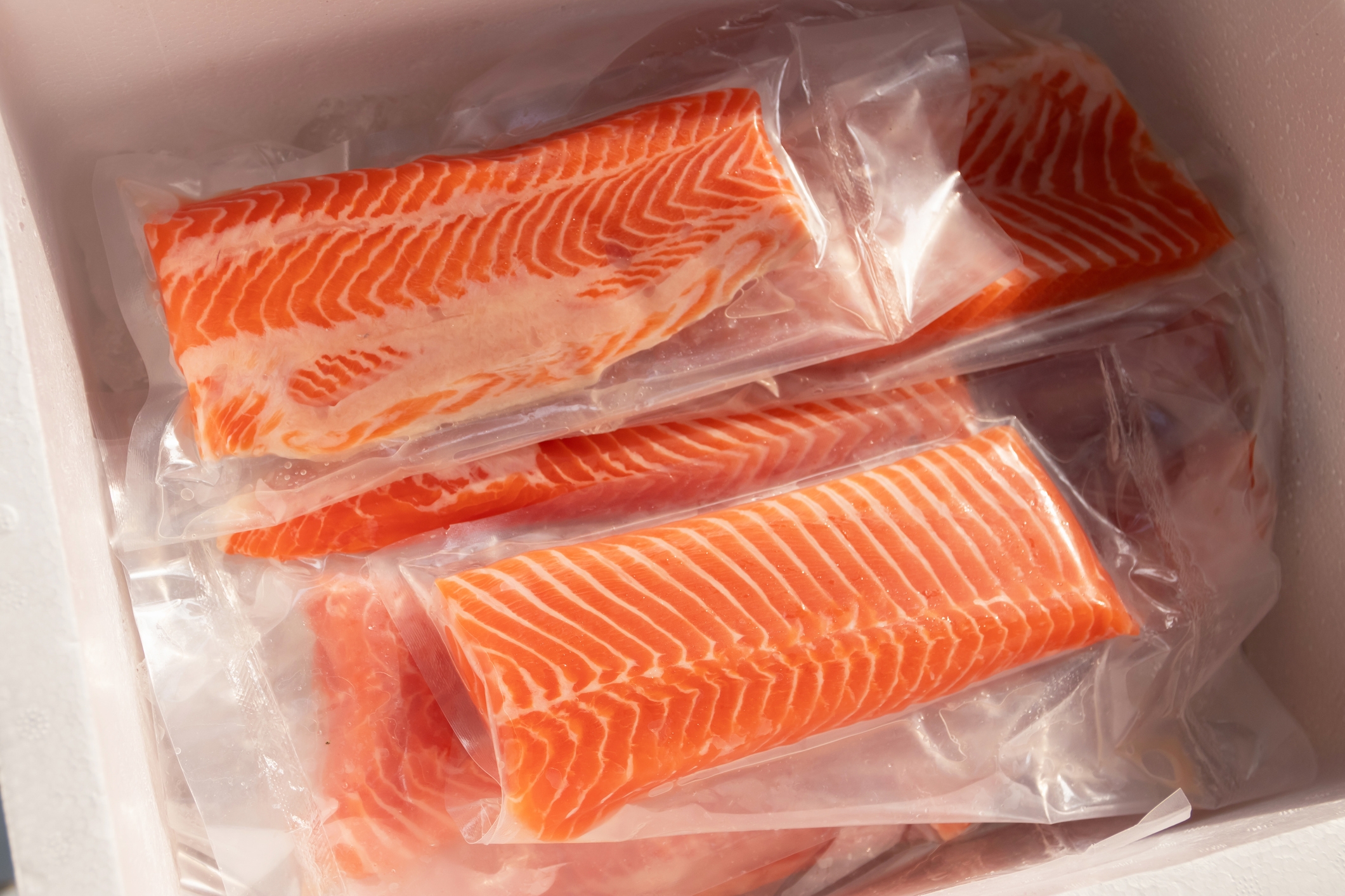 Packaged salmon fillets in vacuum-sealed bags, arranged in a styrofoam container, ready for cooking or storage